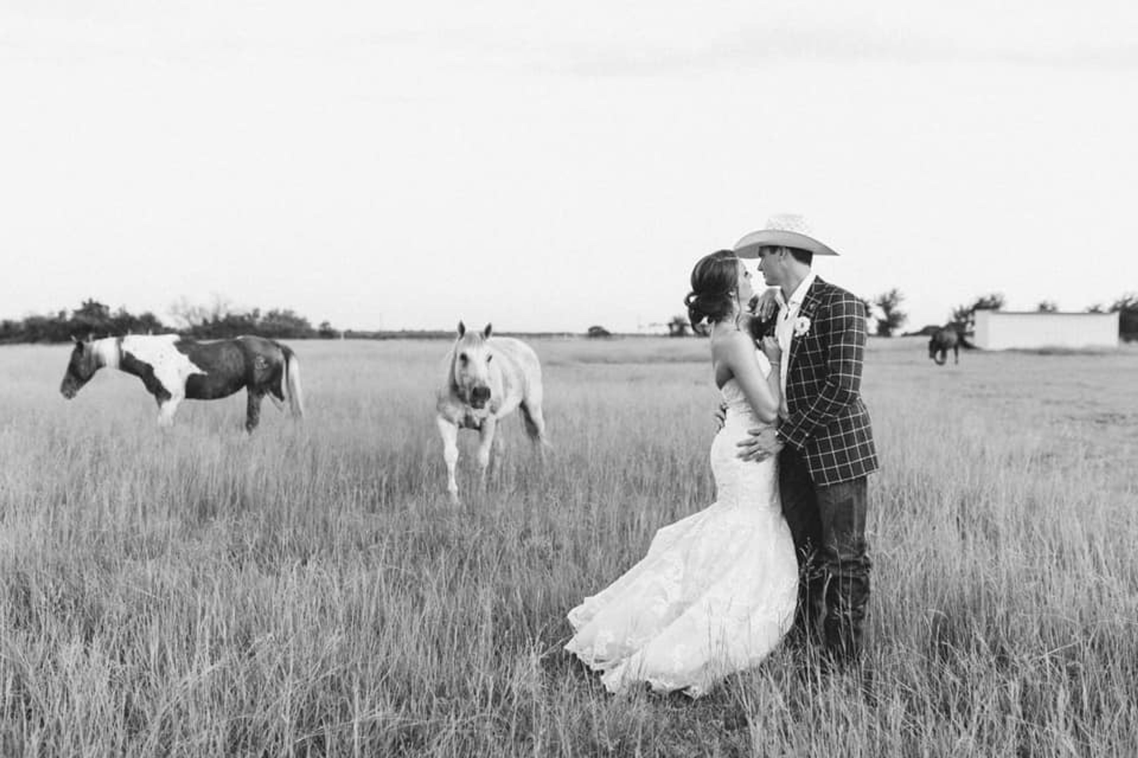 Cover photo of Rockin' Star Ranch