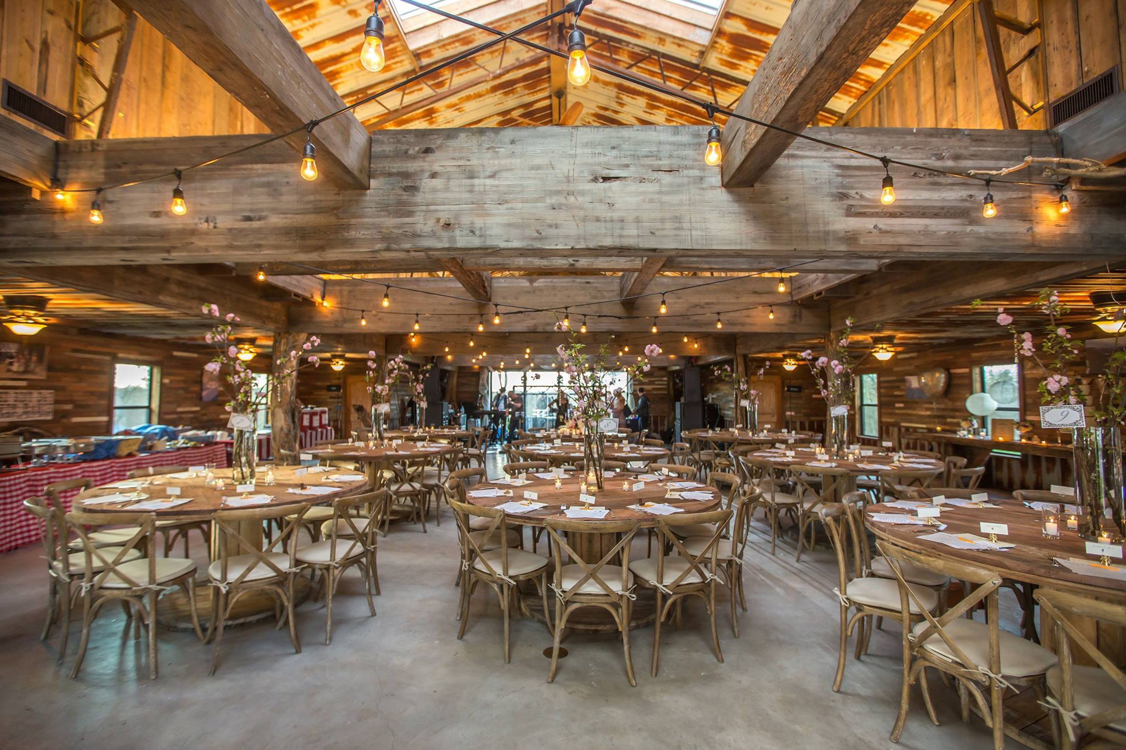 Cover photo of Best Day Ever Ranch