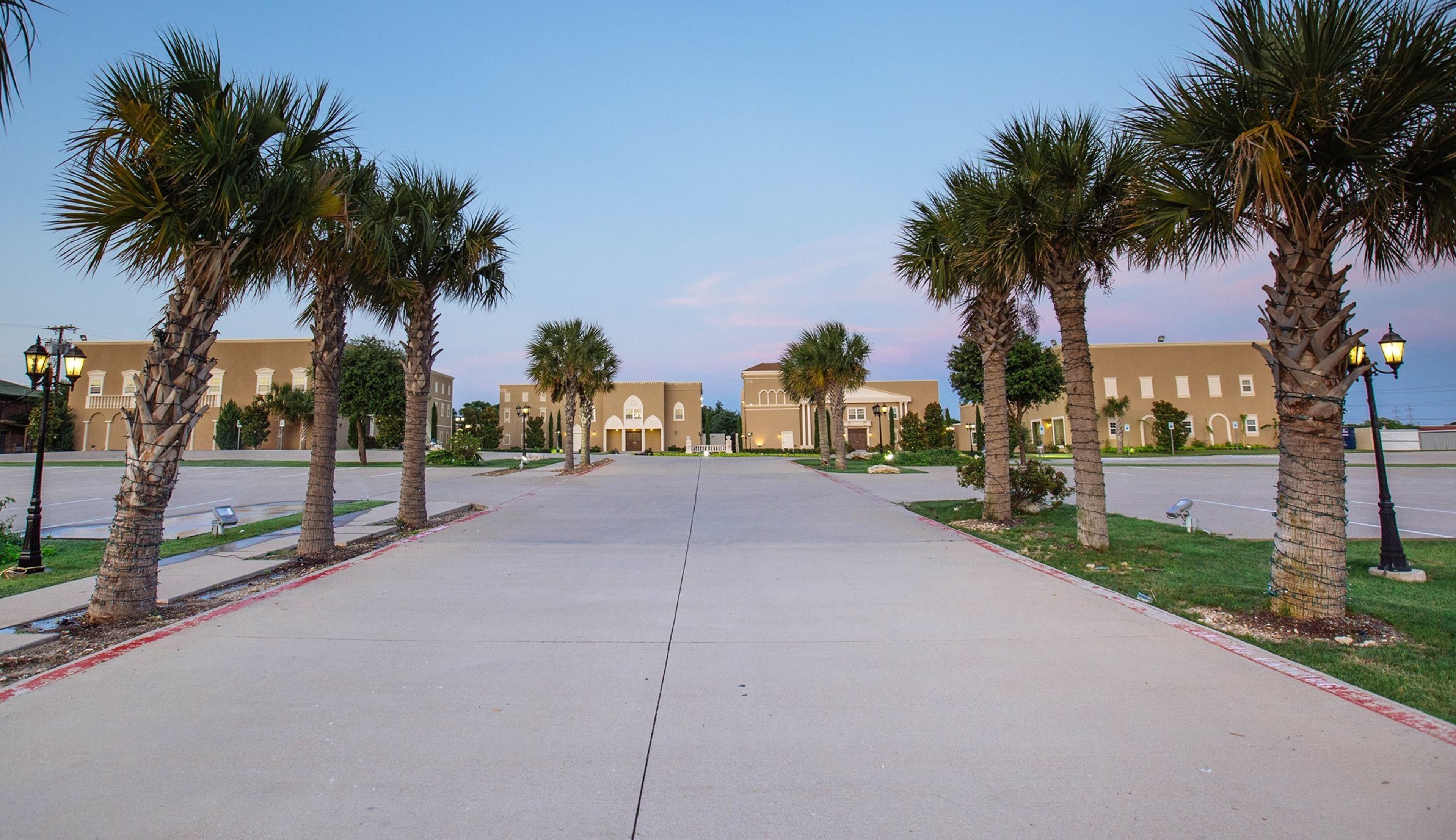 Cover photo of Dallas Palms