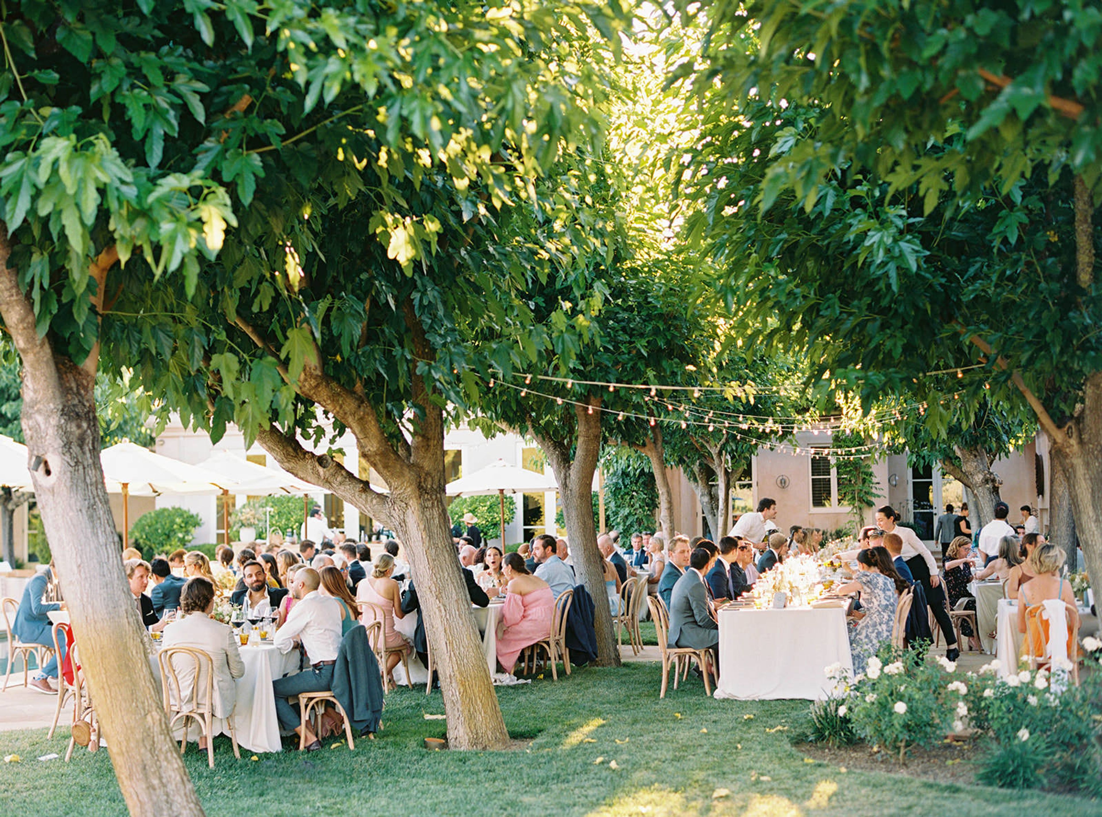 Cover photo of Ruét Photo