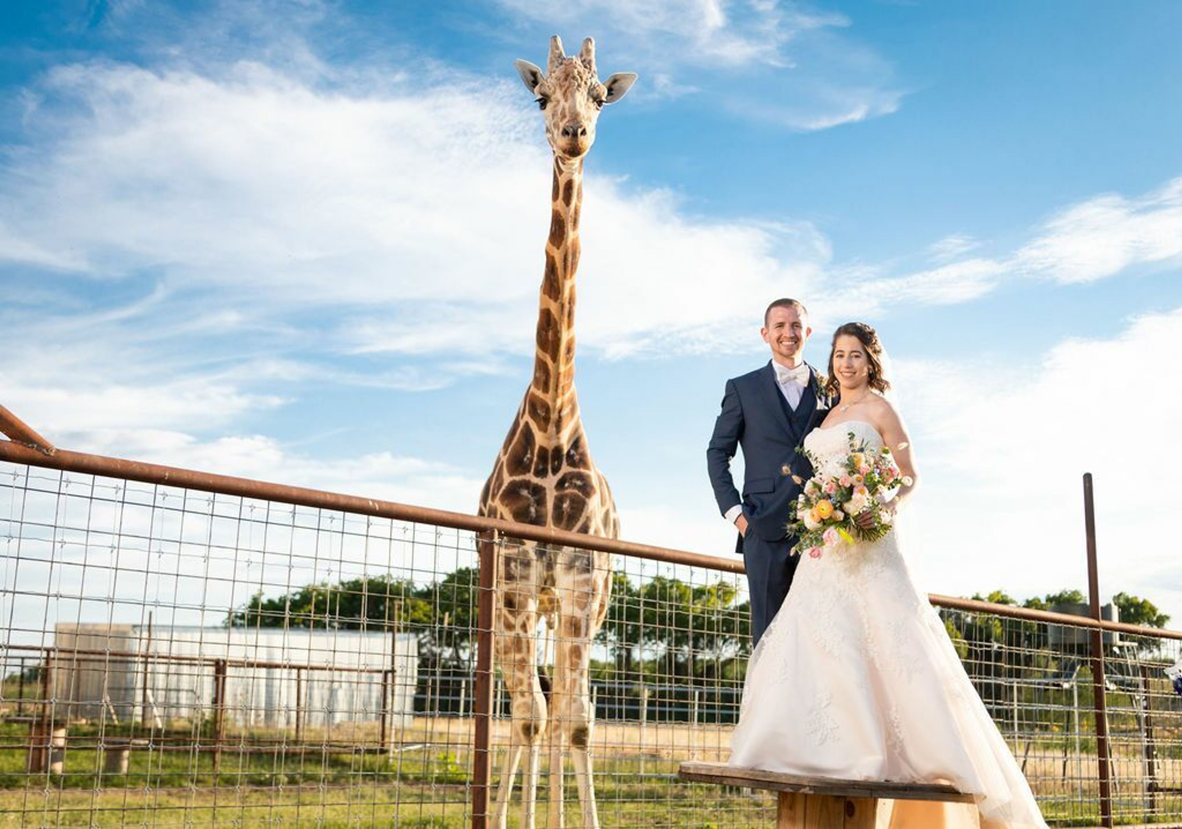 Cover photo of Blue Hills Ranch