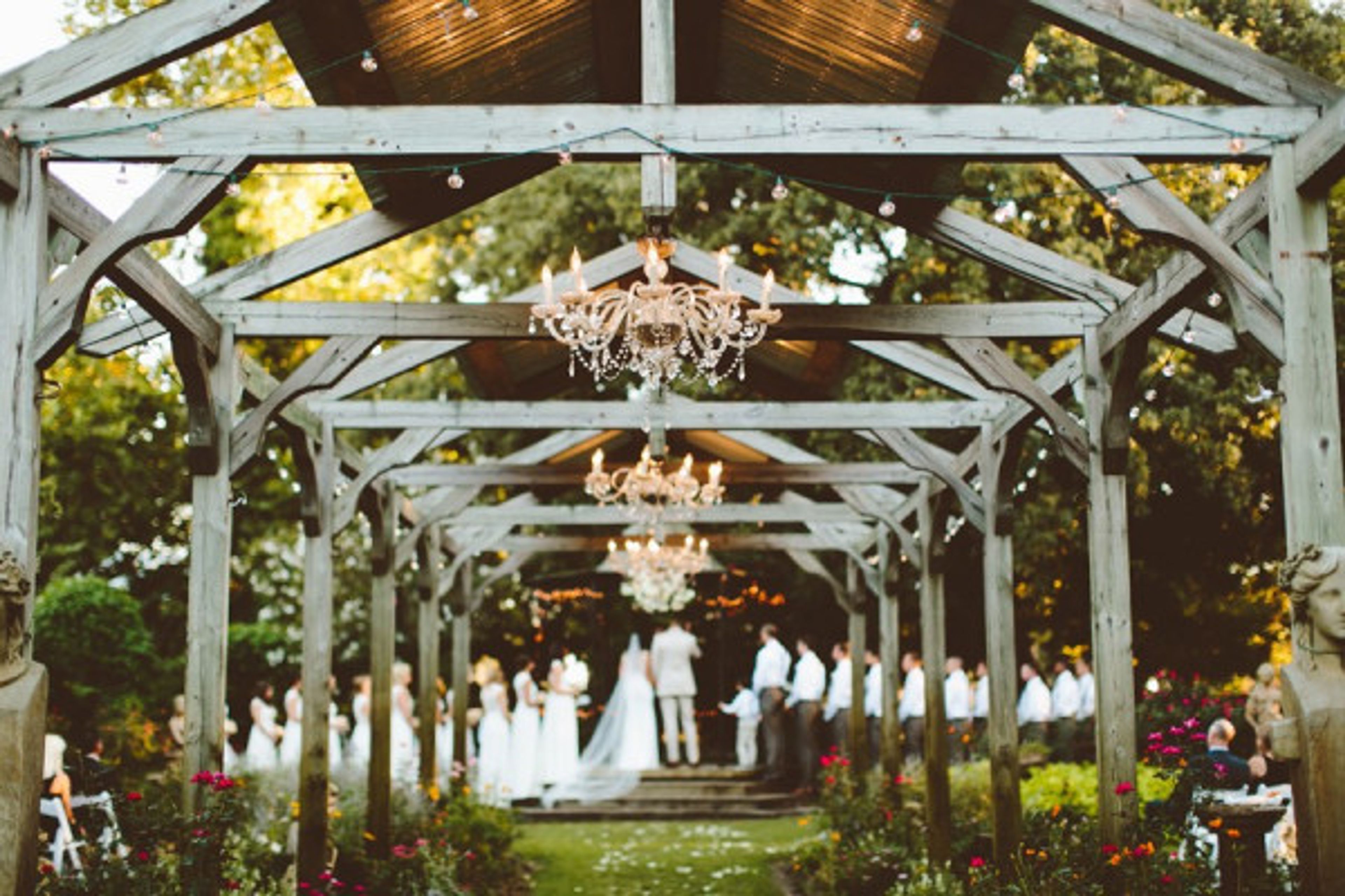 Cover photo of Hummingbird Hollow