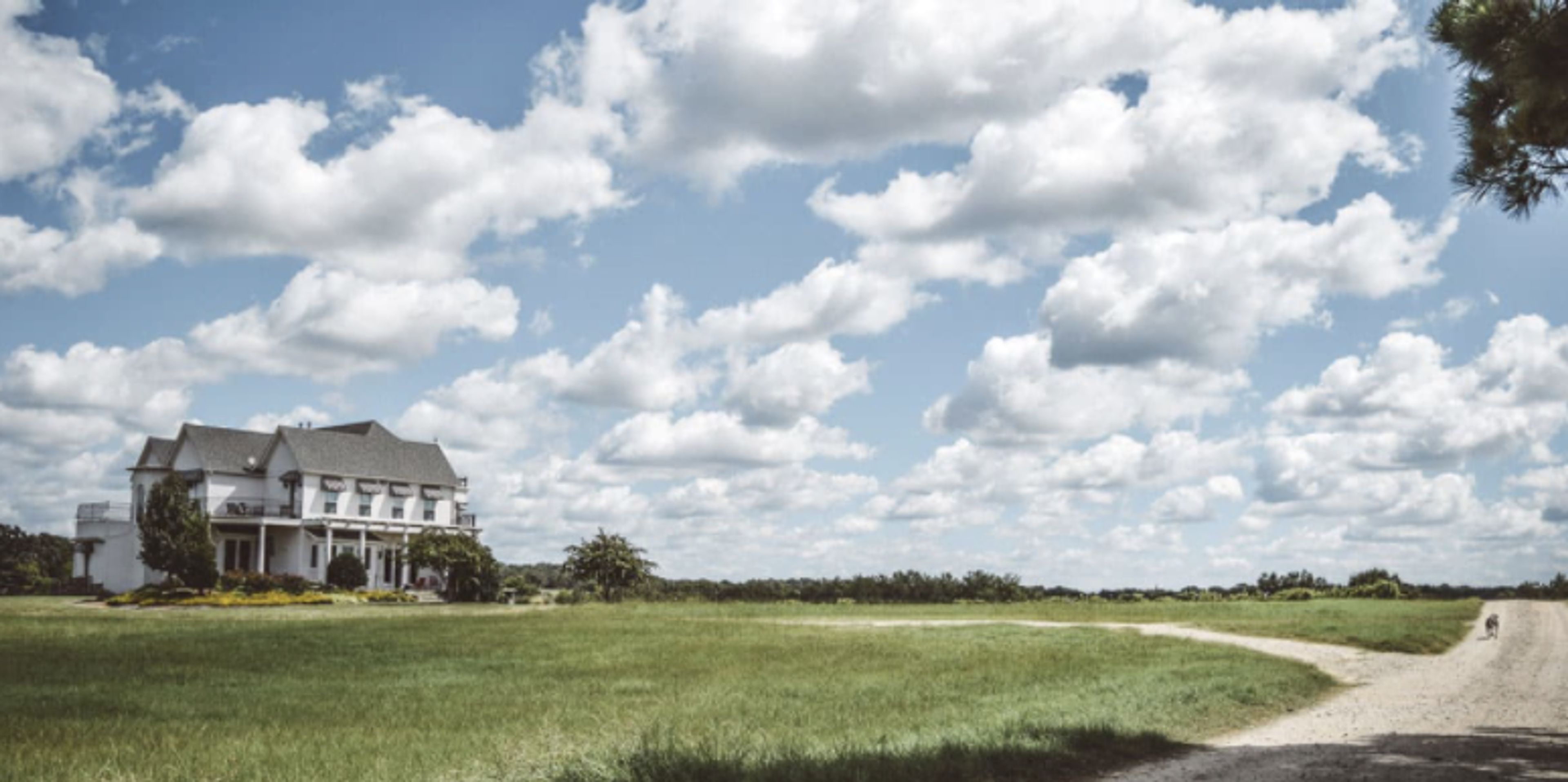 Cover photo of Tara Winery