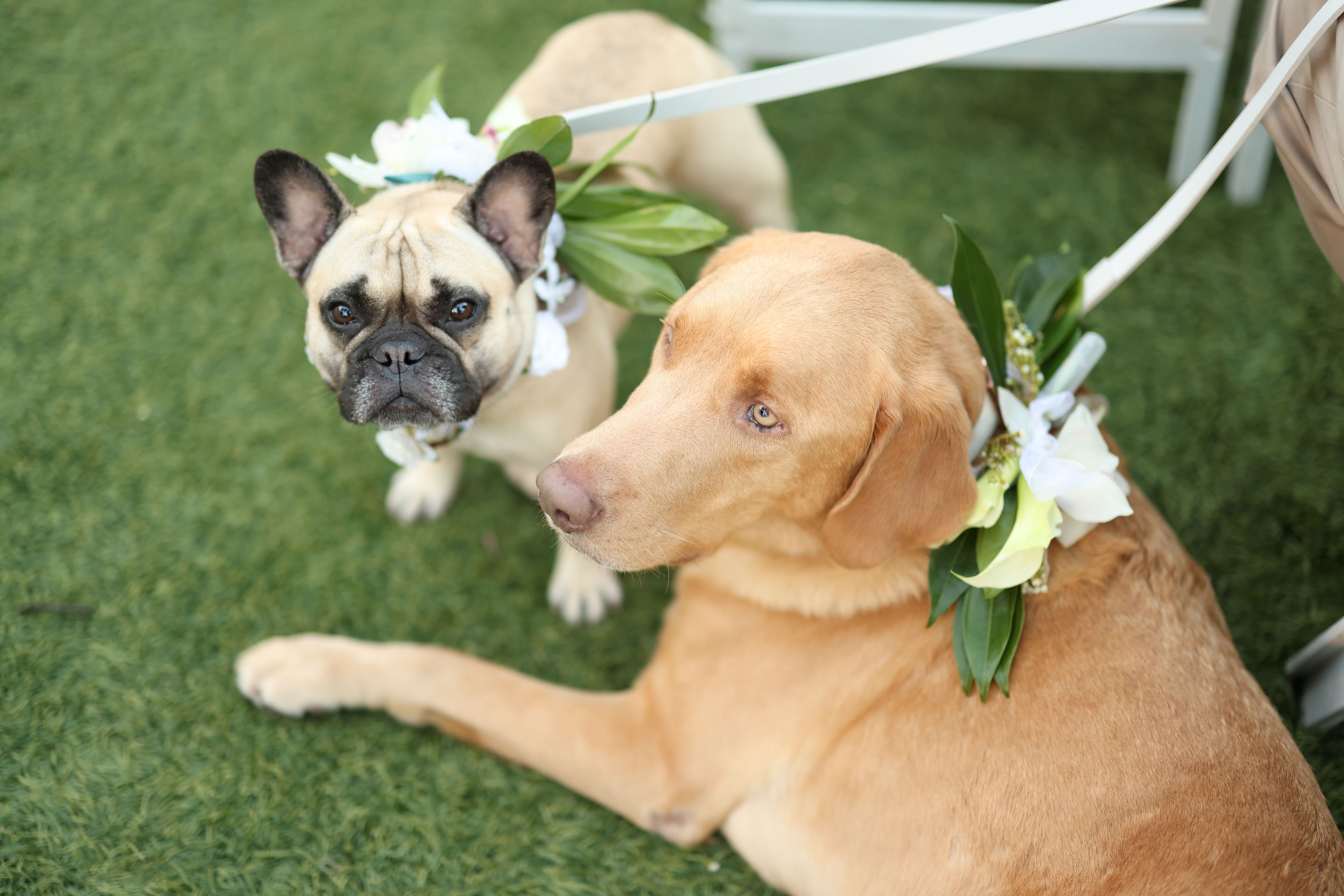 Cover photo of Melissa Davis Designs