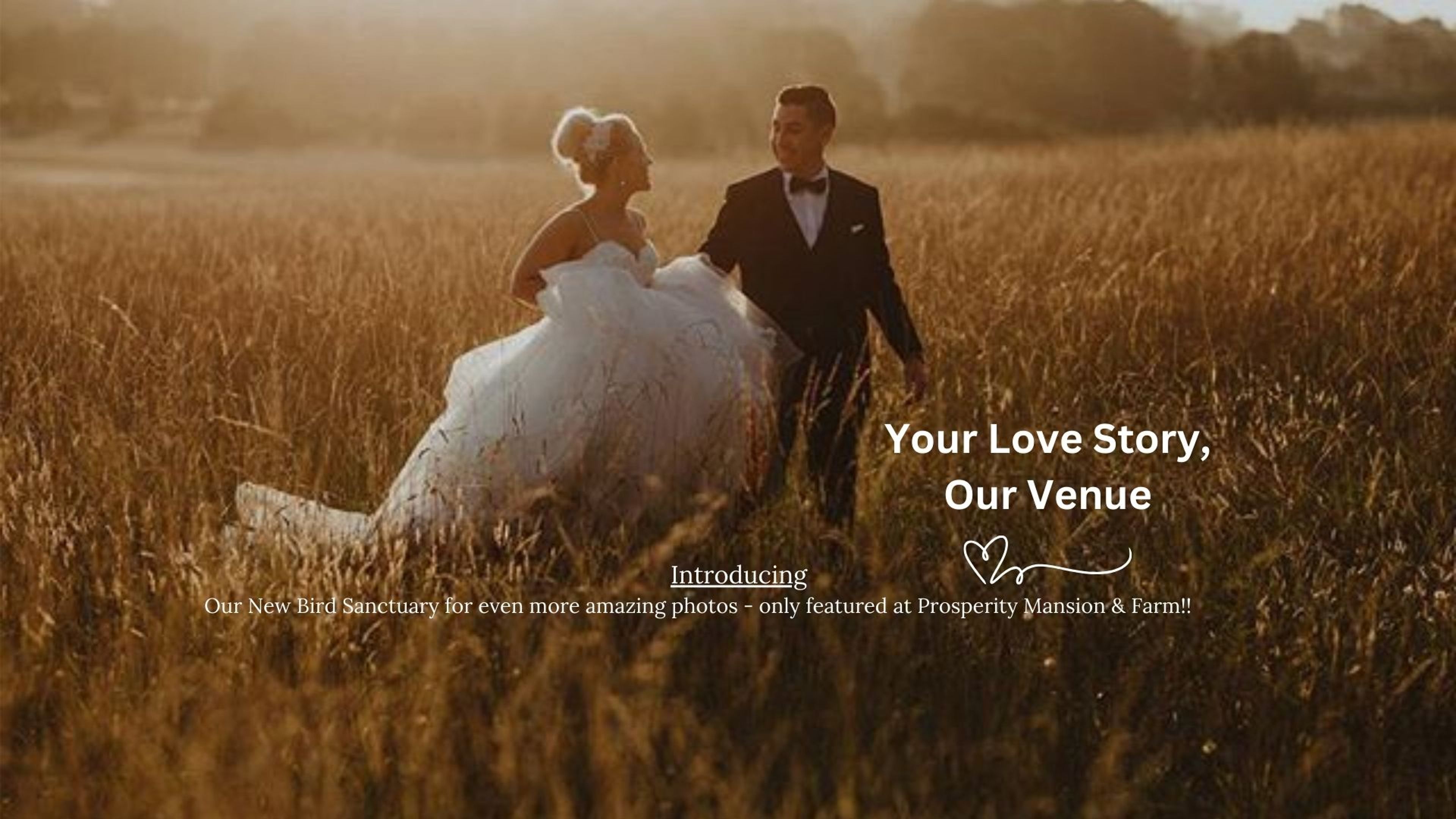 Cover photo of Prosperity Mansion and Farm