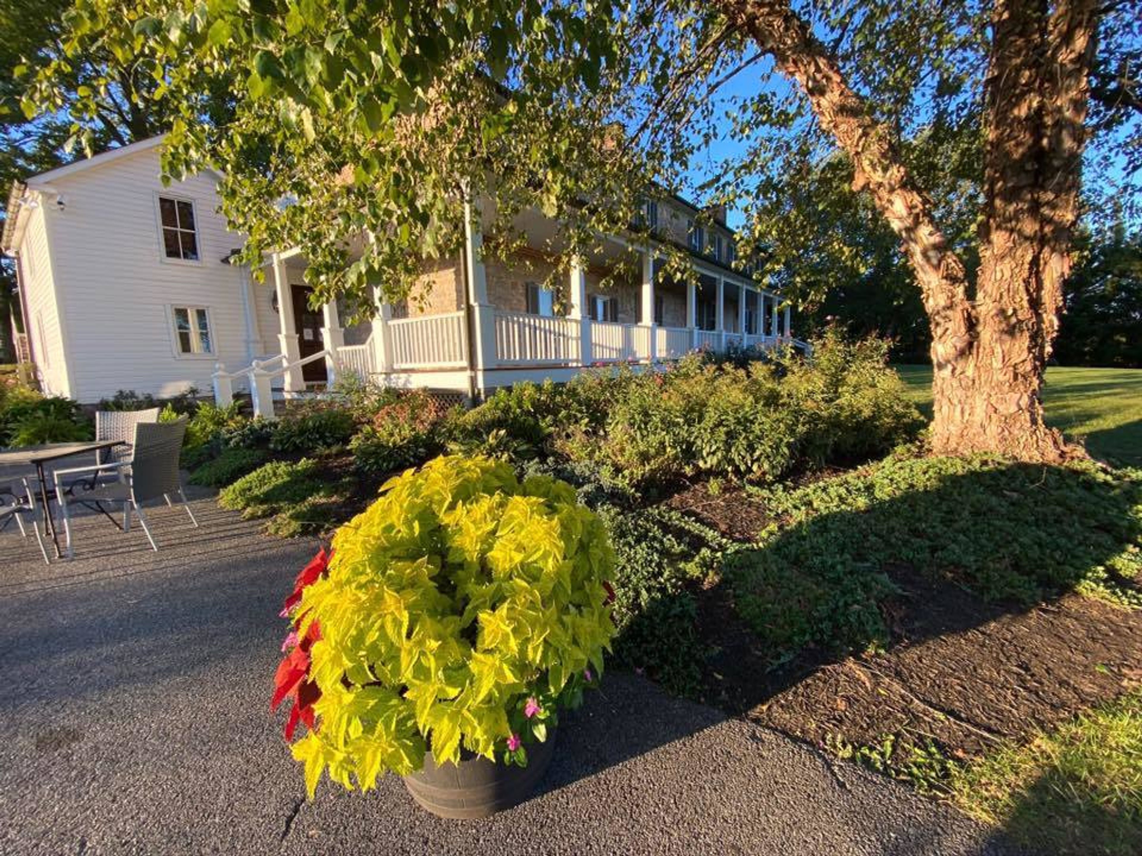 Cover photo of Walker's Overlook