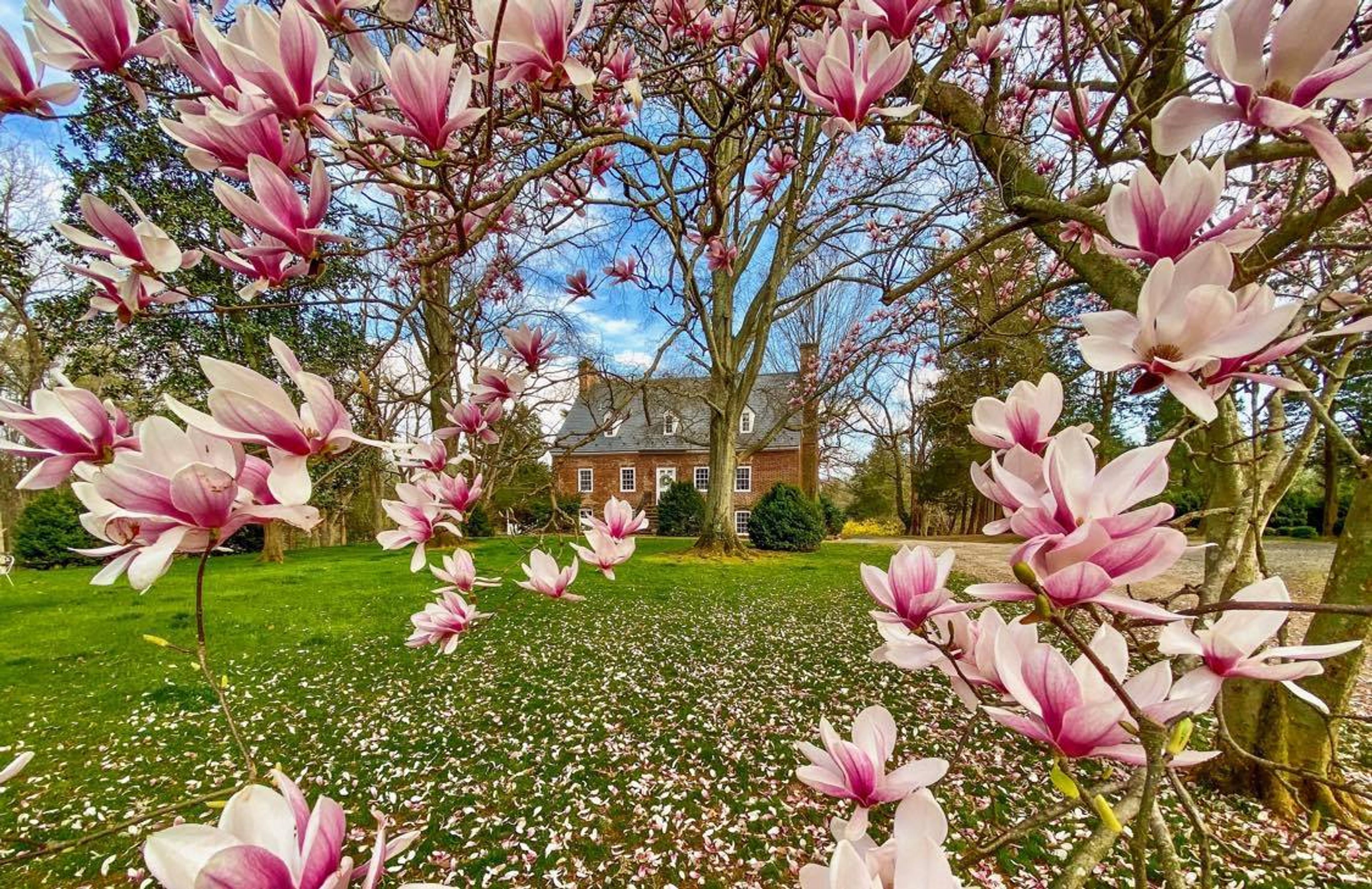 Cover photo of Bel Air 1740