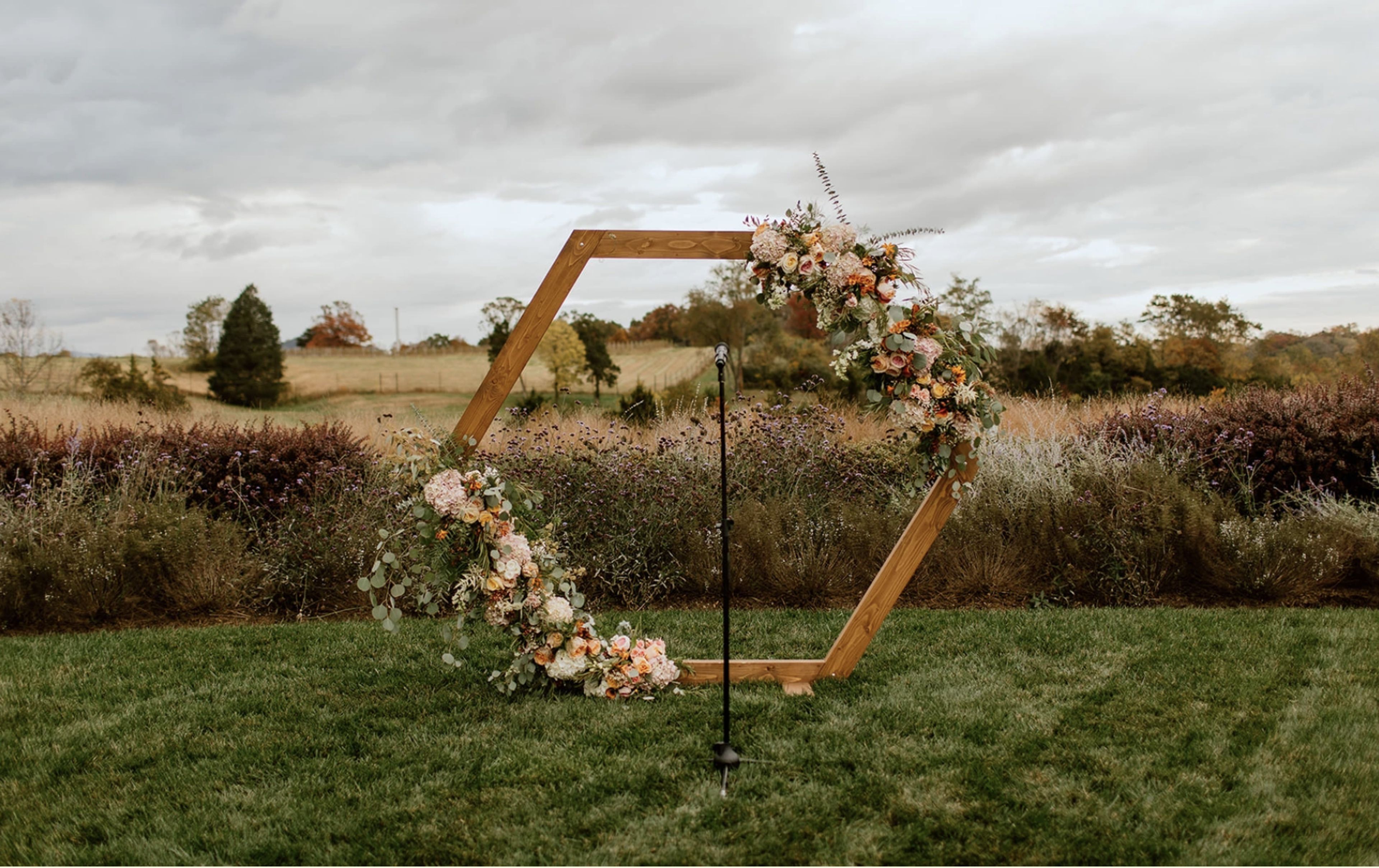 Cover photo of Vows and Vines