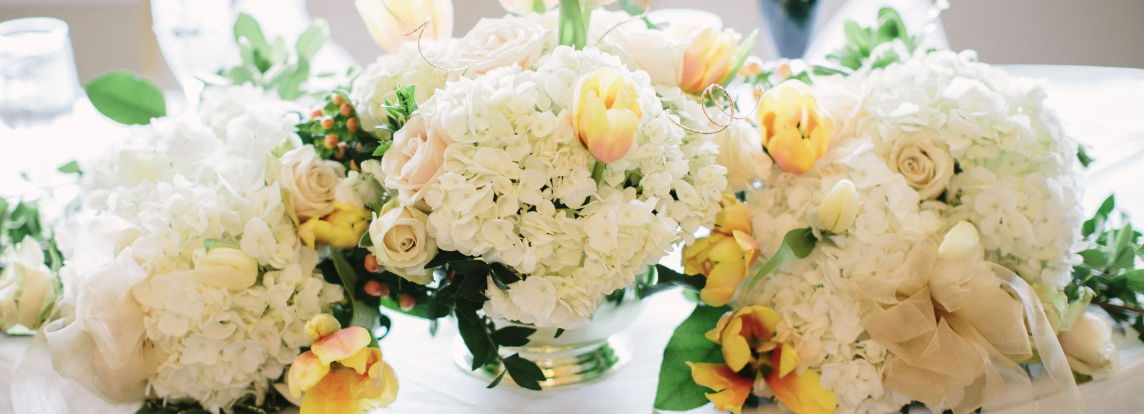 Cover photo of Plan To Be Tied