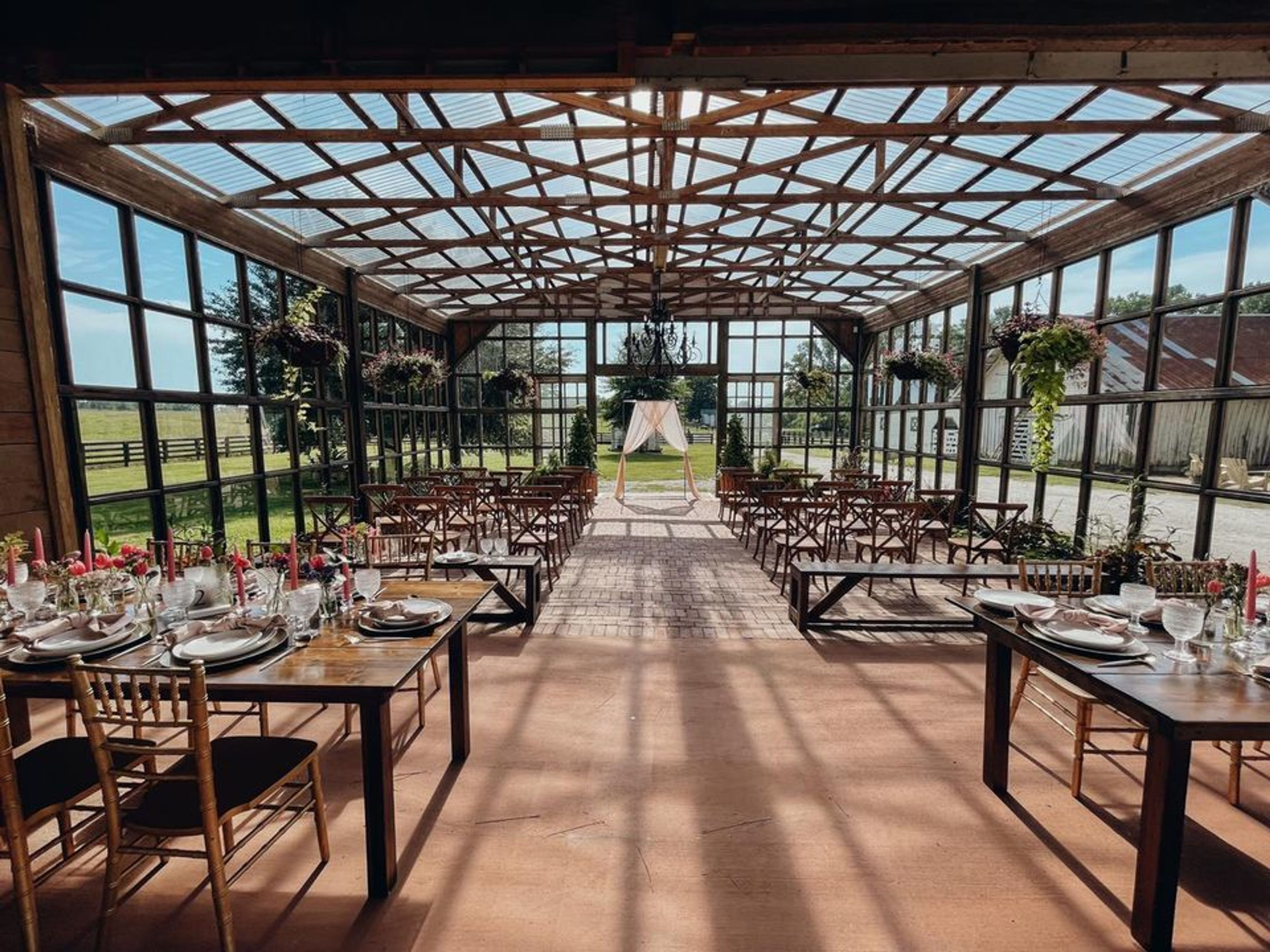 Cover photo of Wild Daisy Farm