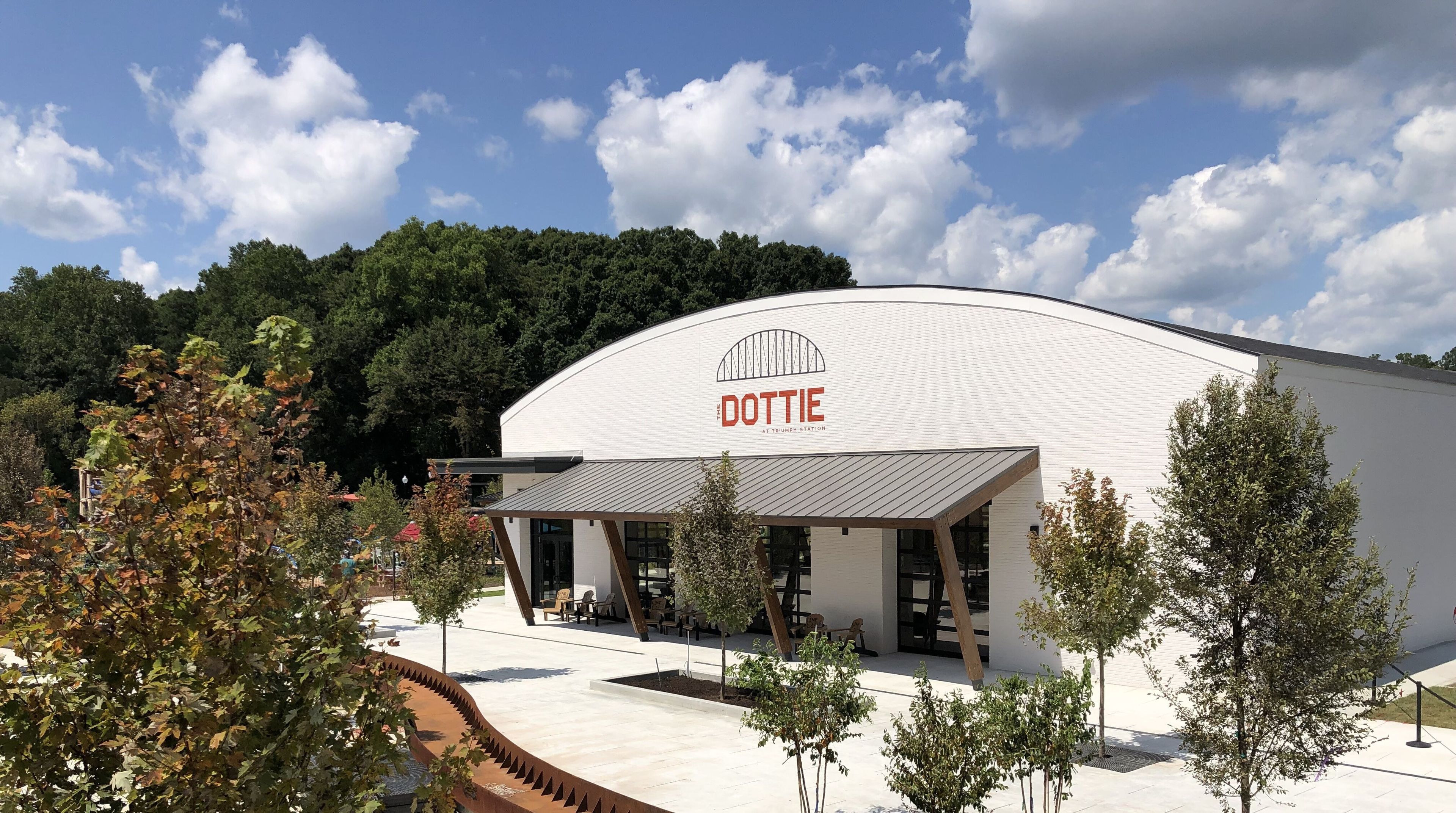 Cover photo of The Dottie