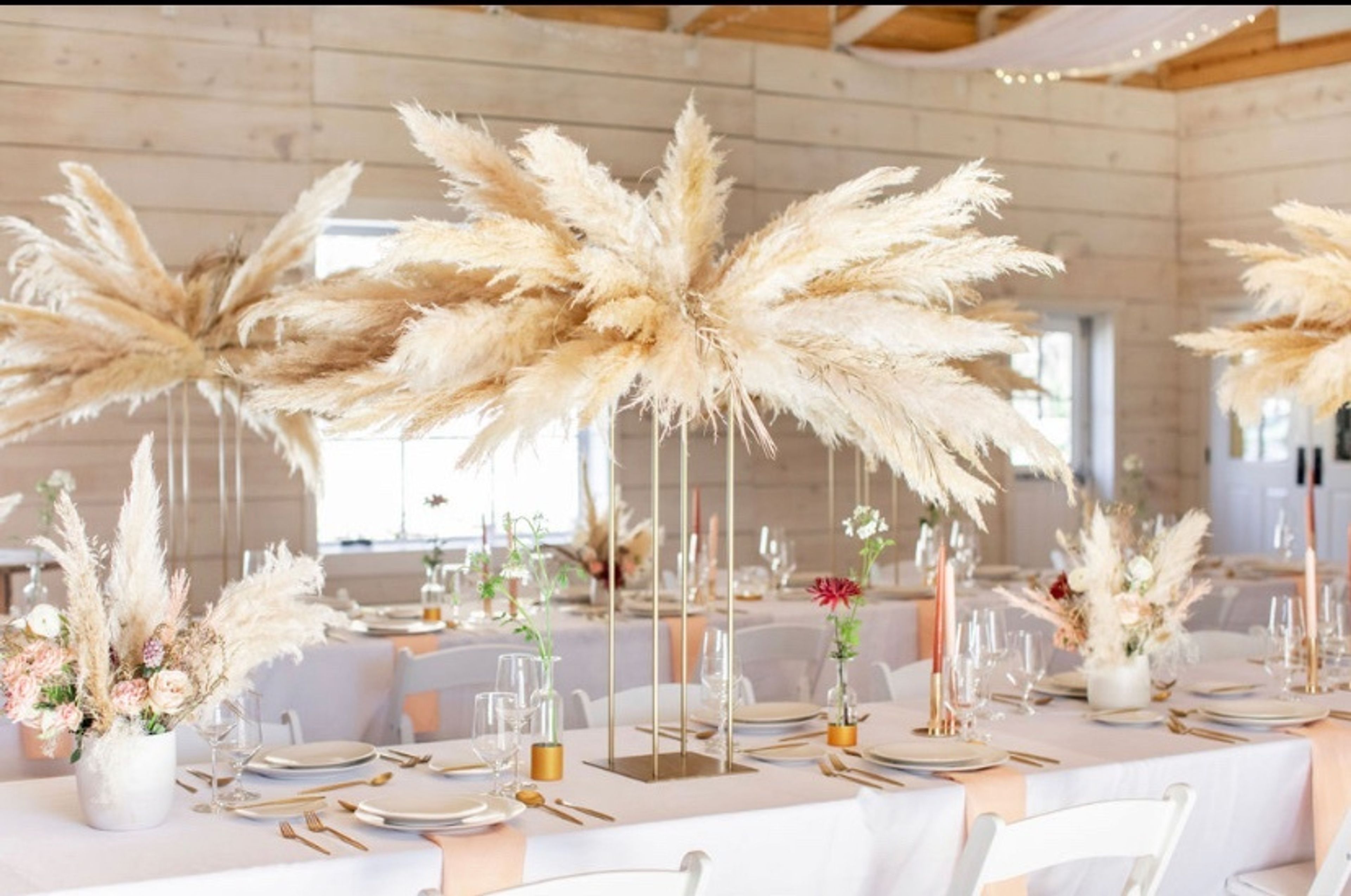 Cover photo of Koury Farms