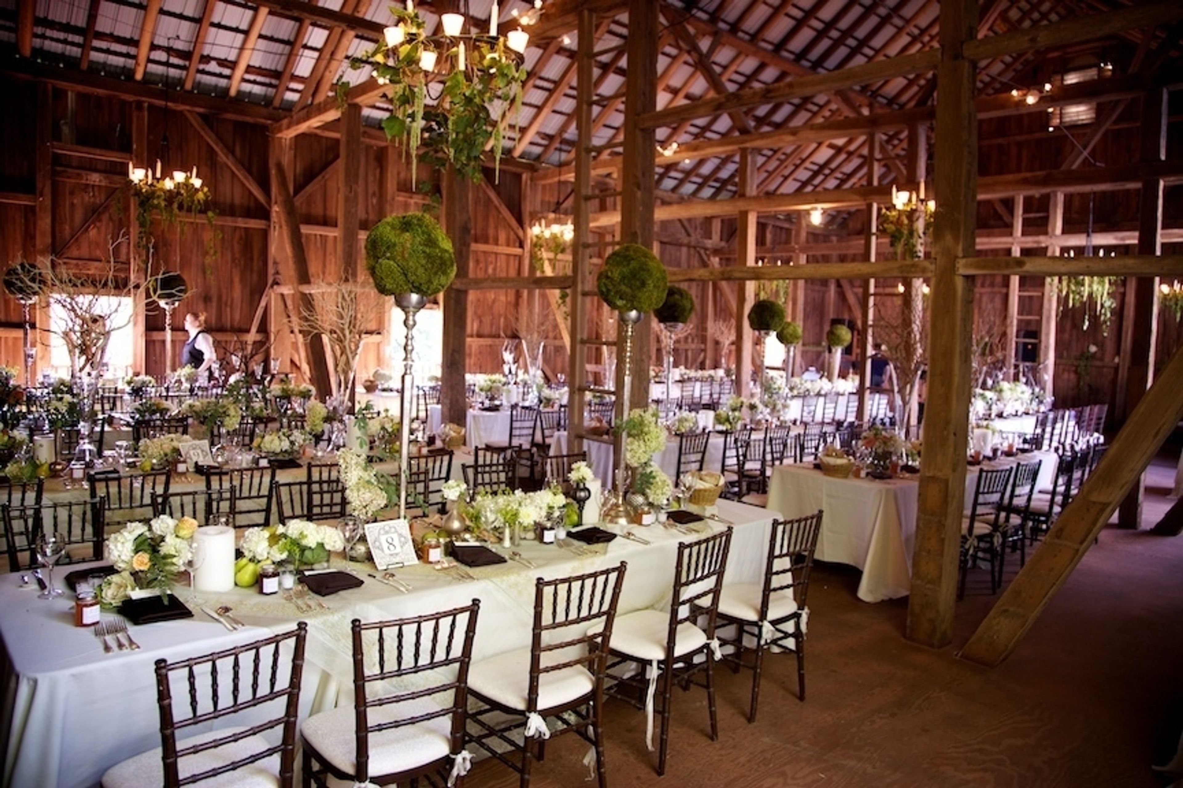 Cover photo of Wicked Willow