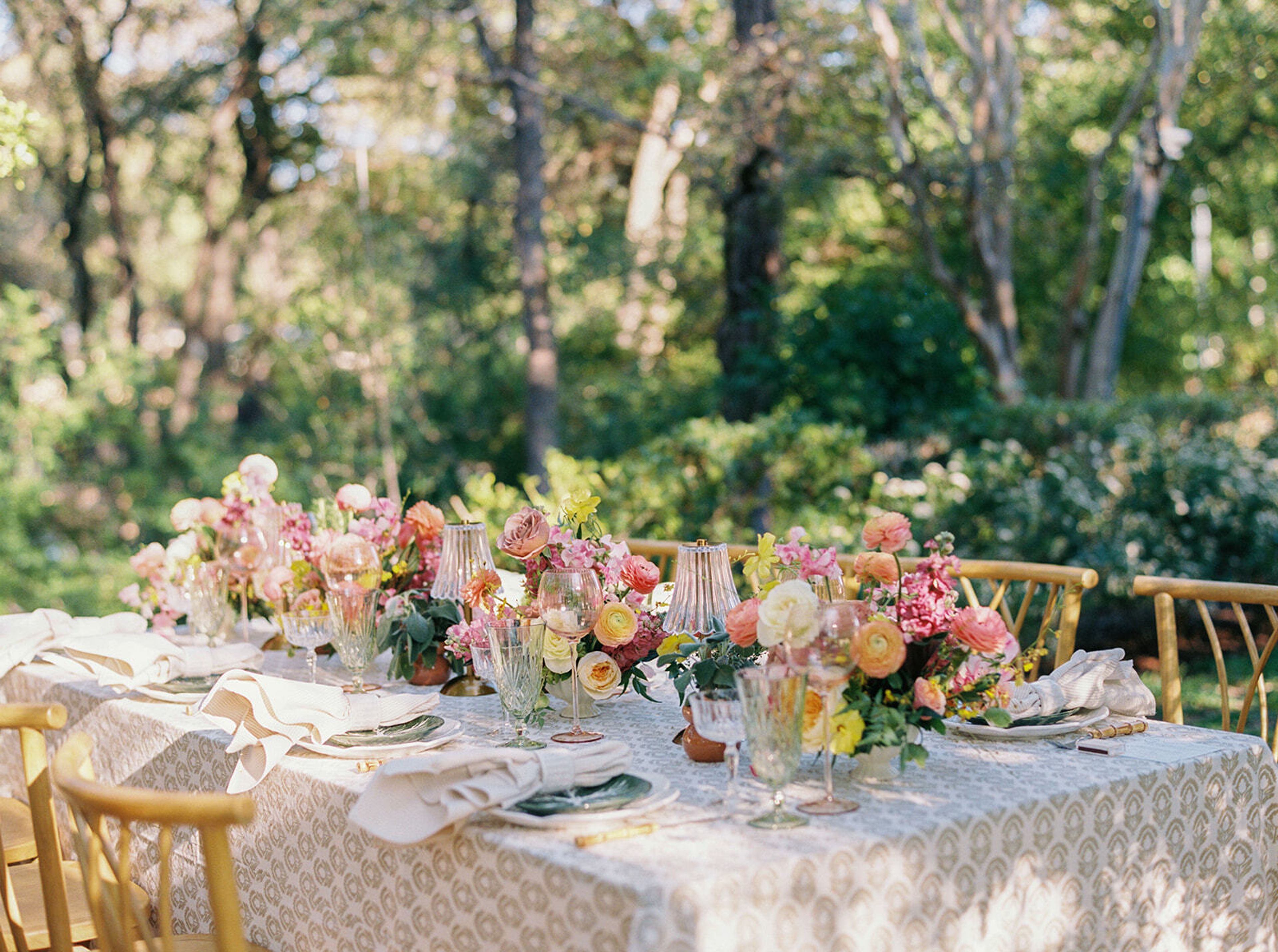 Cover photo of STRADLEY DAVIDSON