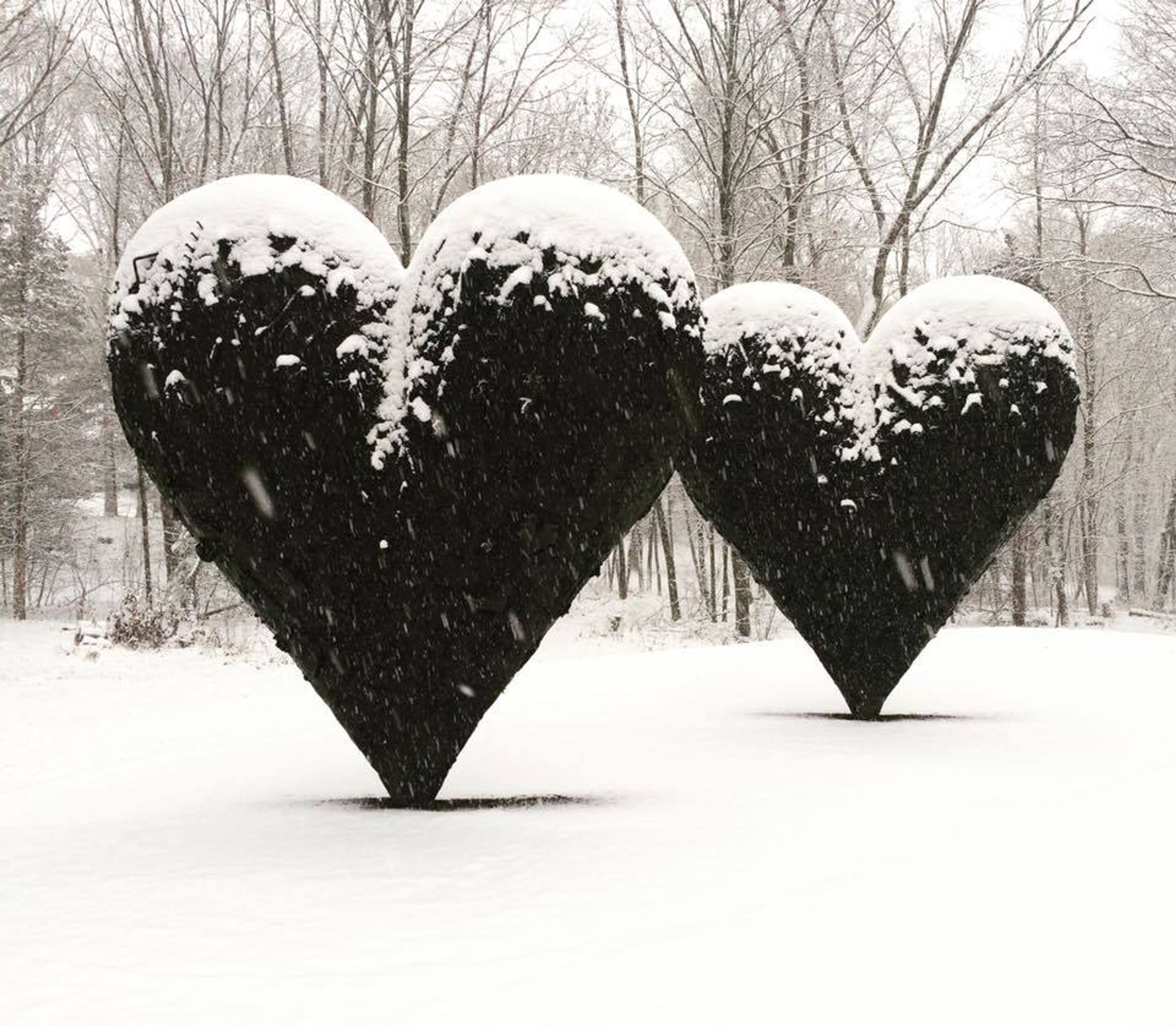 Cover photo of deCordova Sculpture Park and Museum