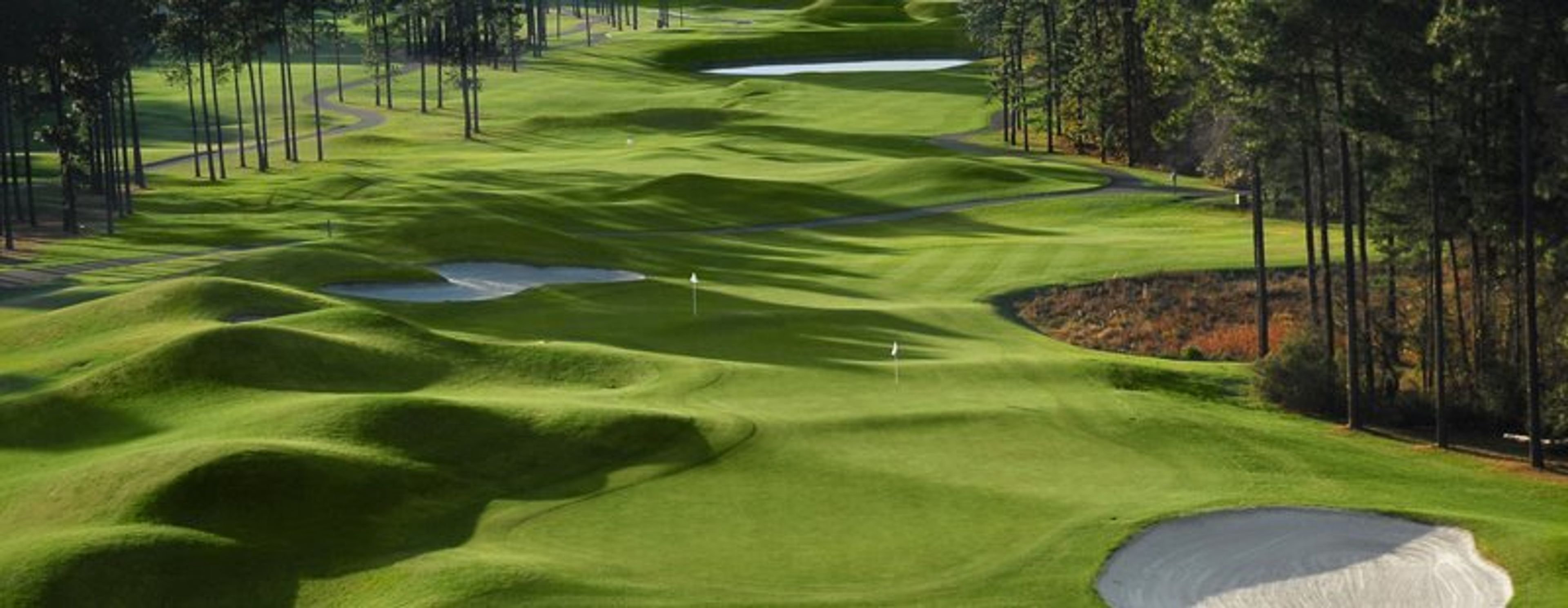 Cover photo of Wild Wing Golf