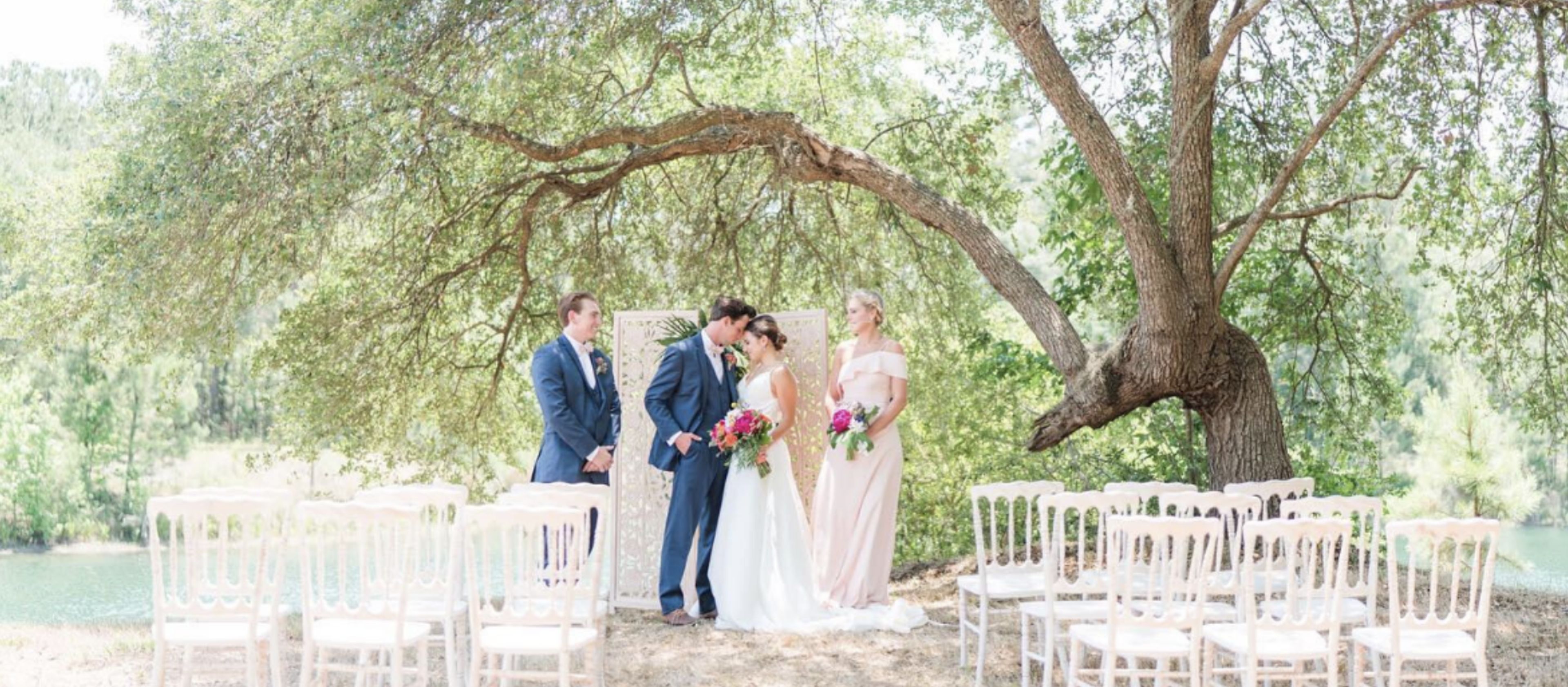 Cover photo of The Woodlands Nature Reserve