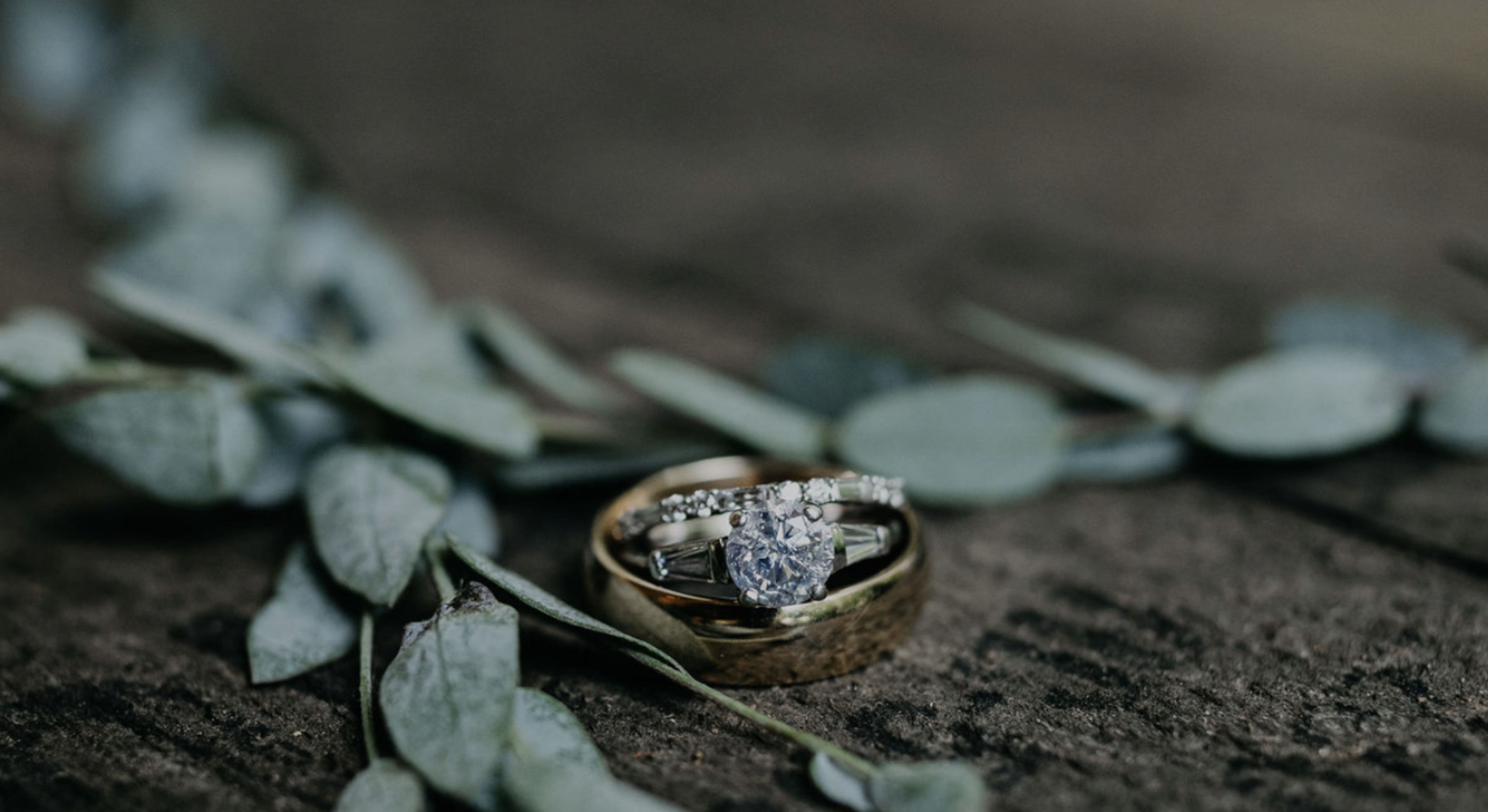 Cover photo of Ashton Taylor Event Planning