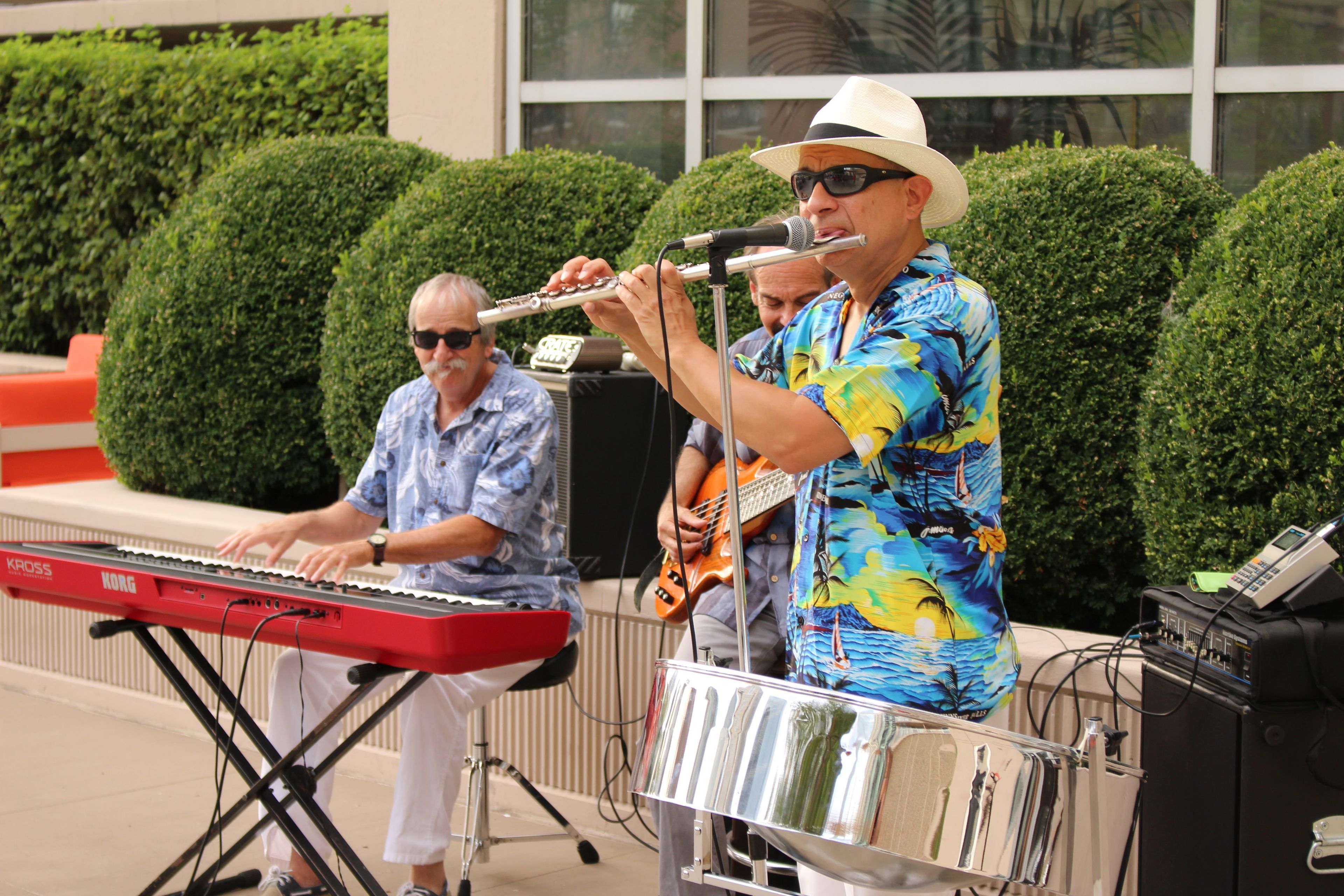 Cover photo of Island Dreams Music