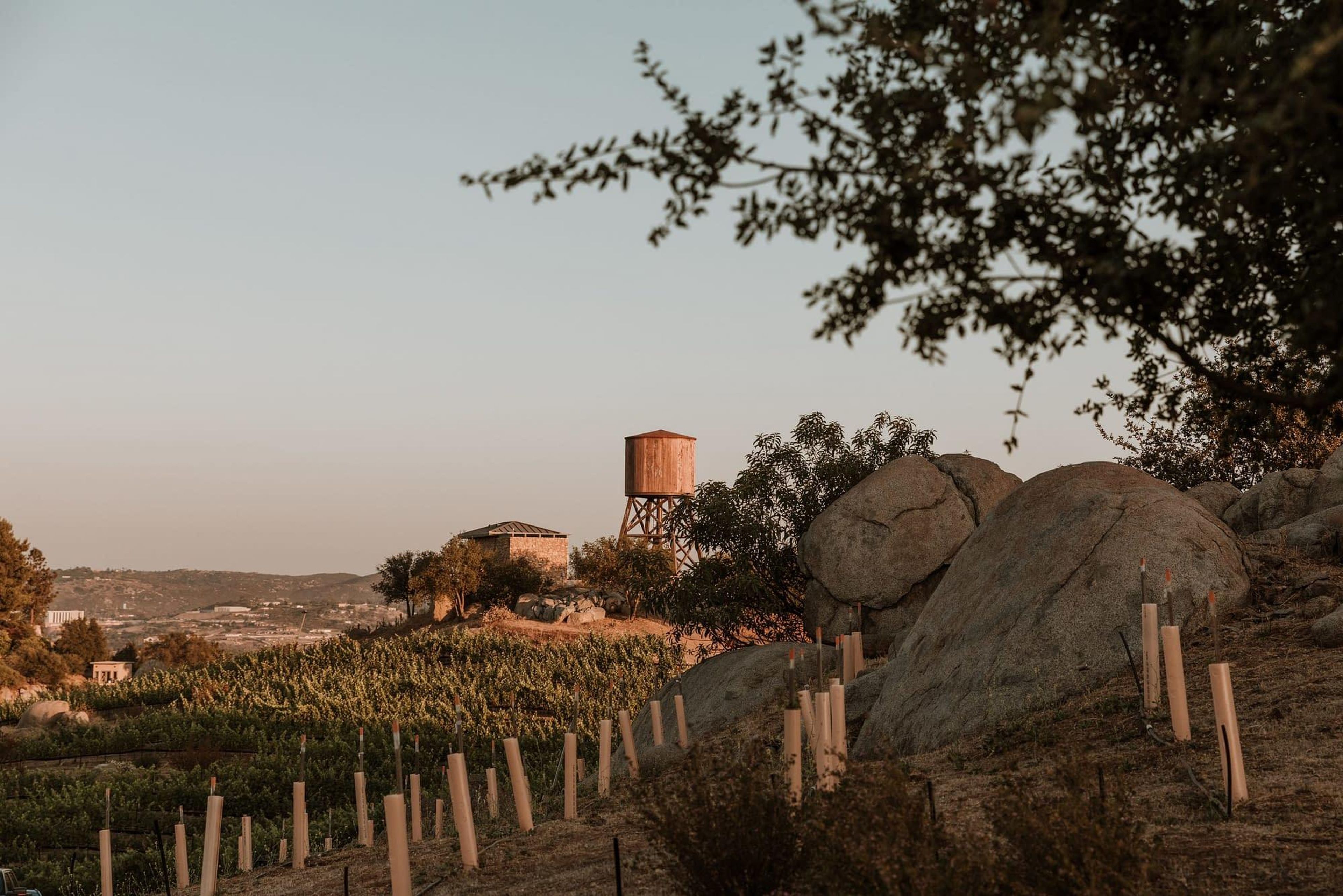 Cover photo of Alvarez Farm and Vineyard