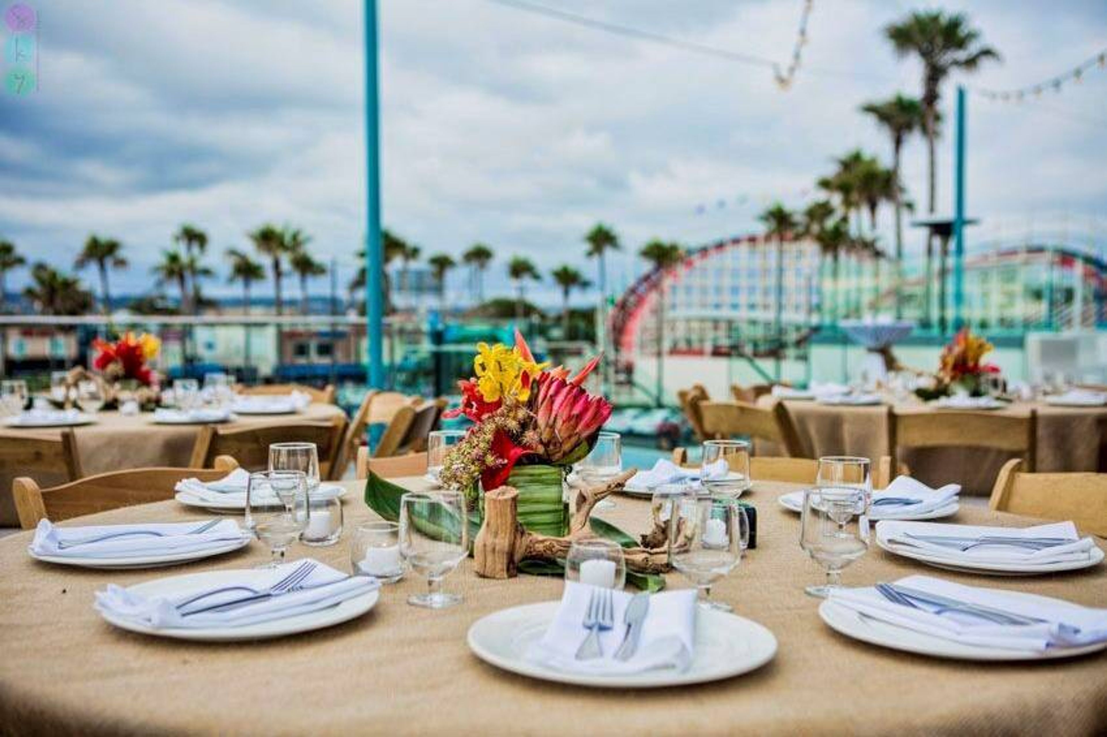 Cover photo of Belmont Park Coaster Terrace