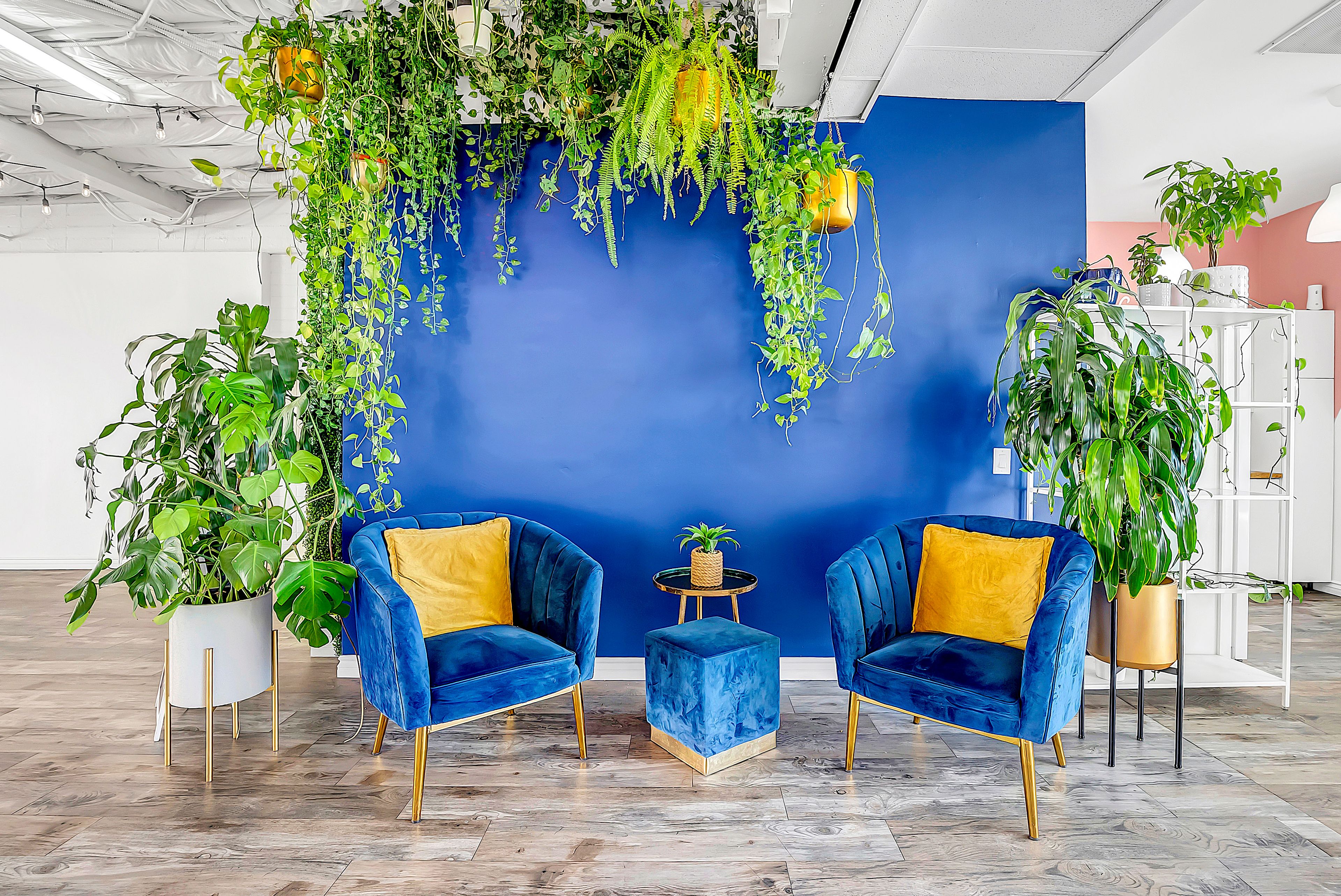 Cover photo of FEMX Quarters