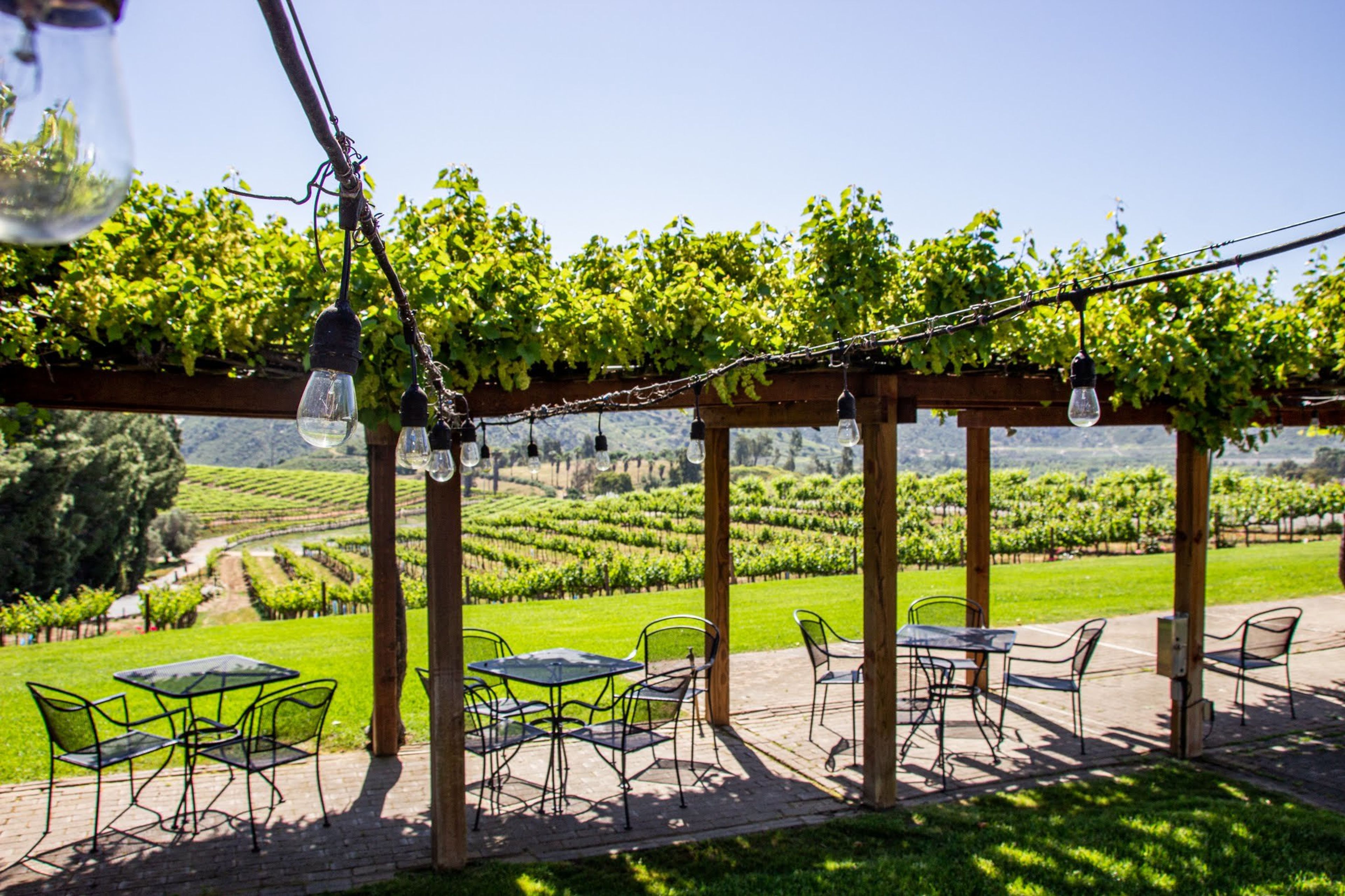 Cover photo of Orfila Vineyards & Winery