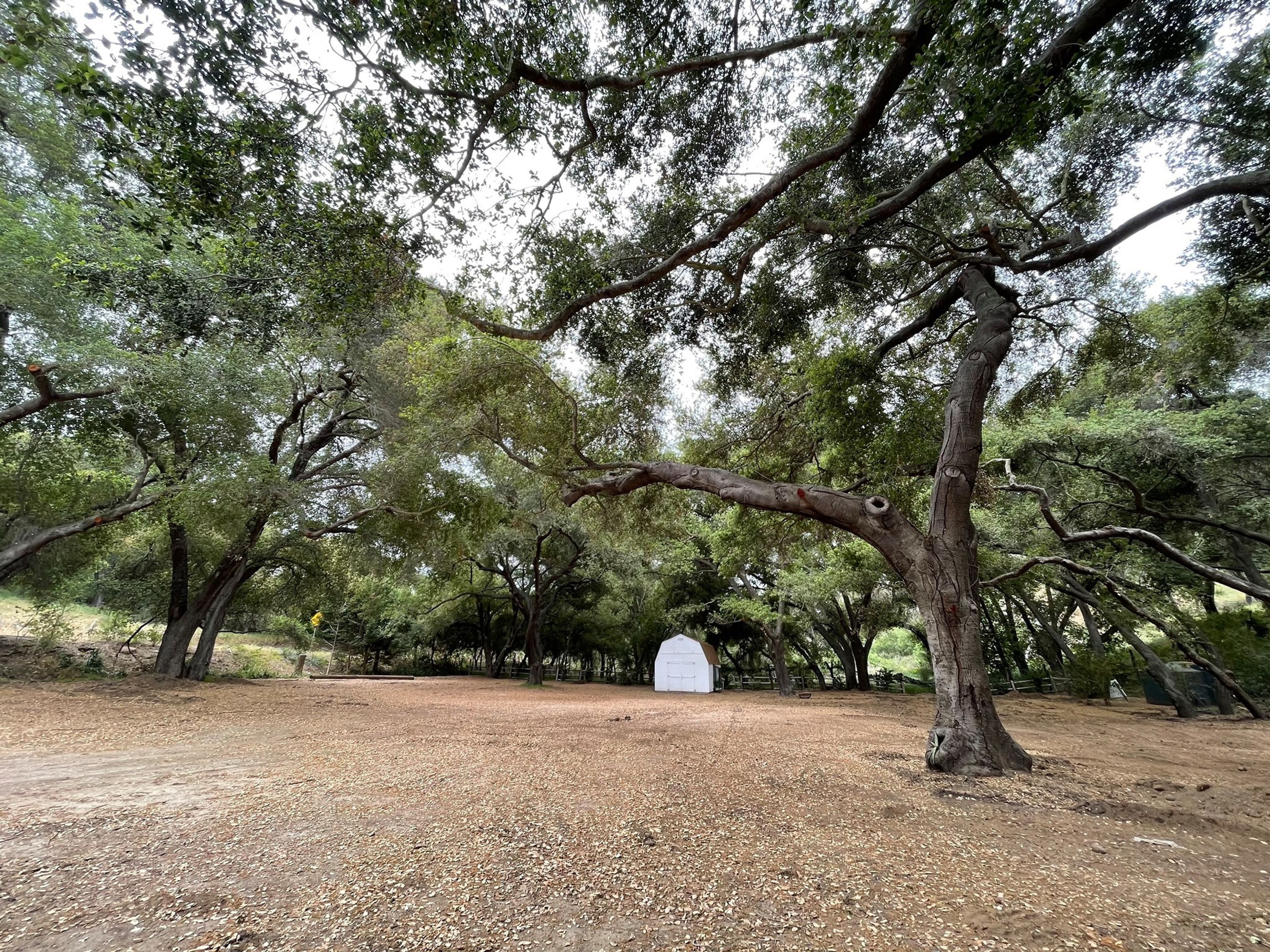 Cover photo of The Oaks at Duncan Lane