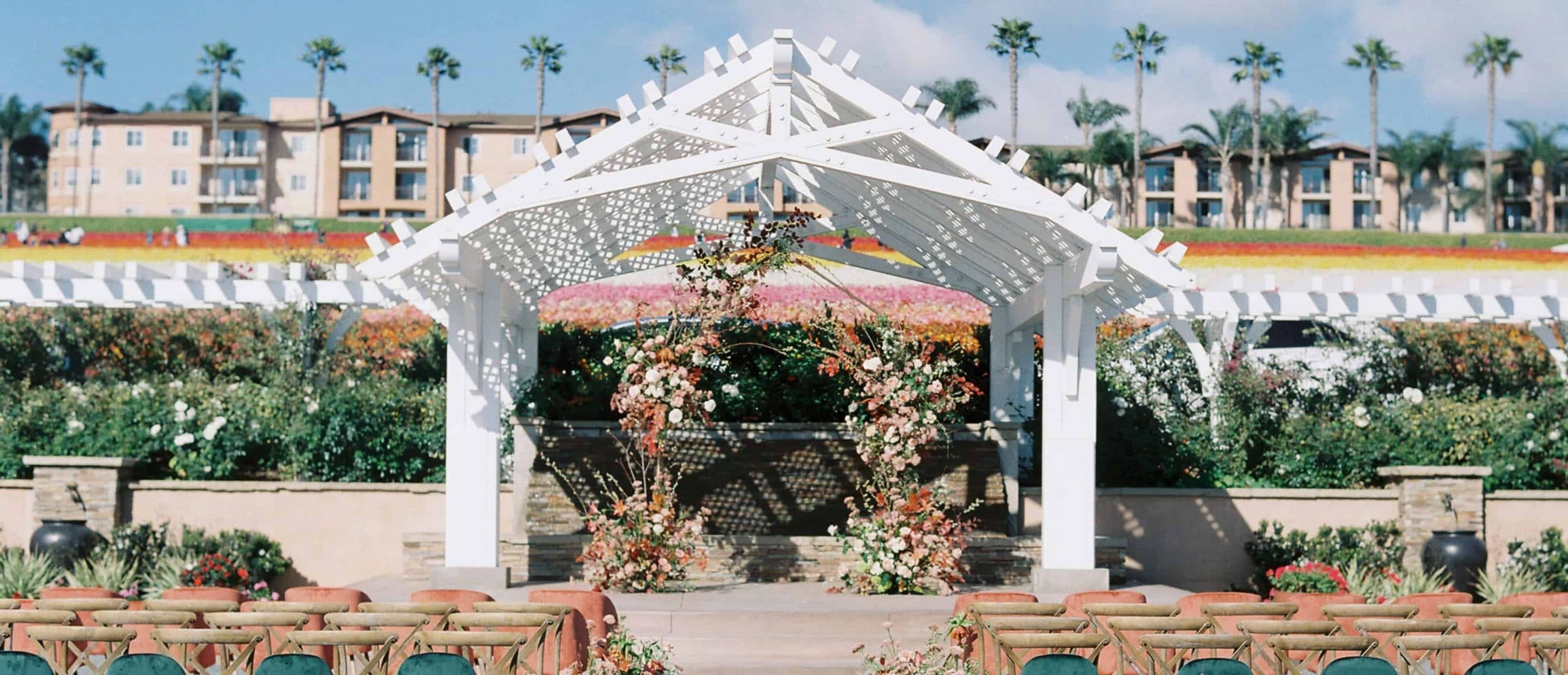 Cover photo of The Flower Fields