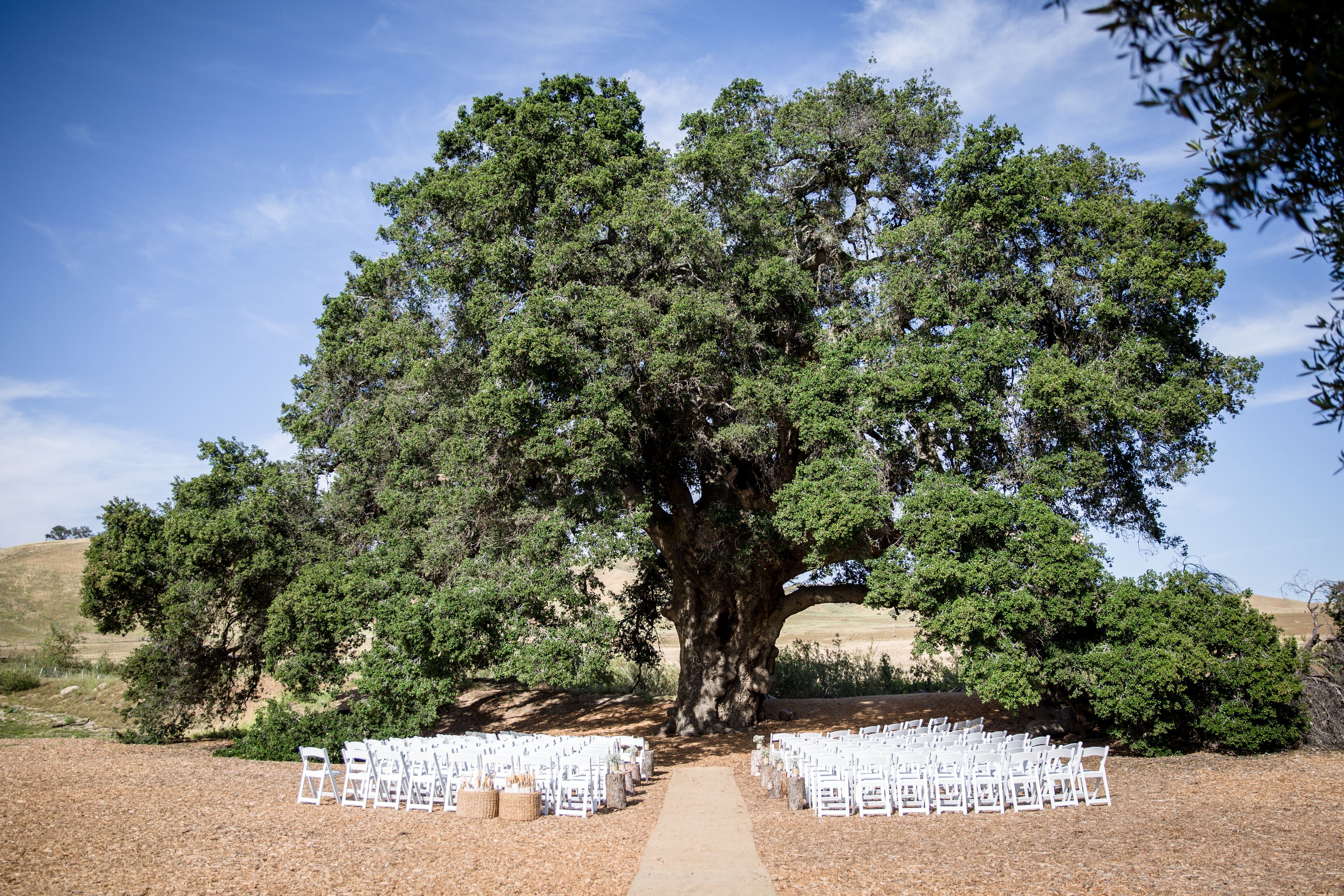 Cover photo of Reflecting Grace Photography