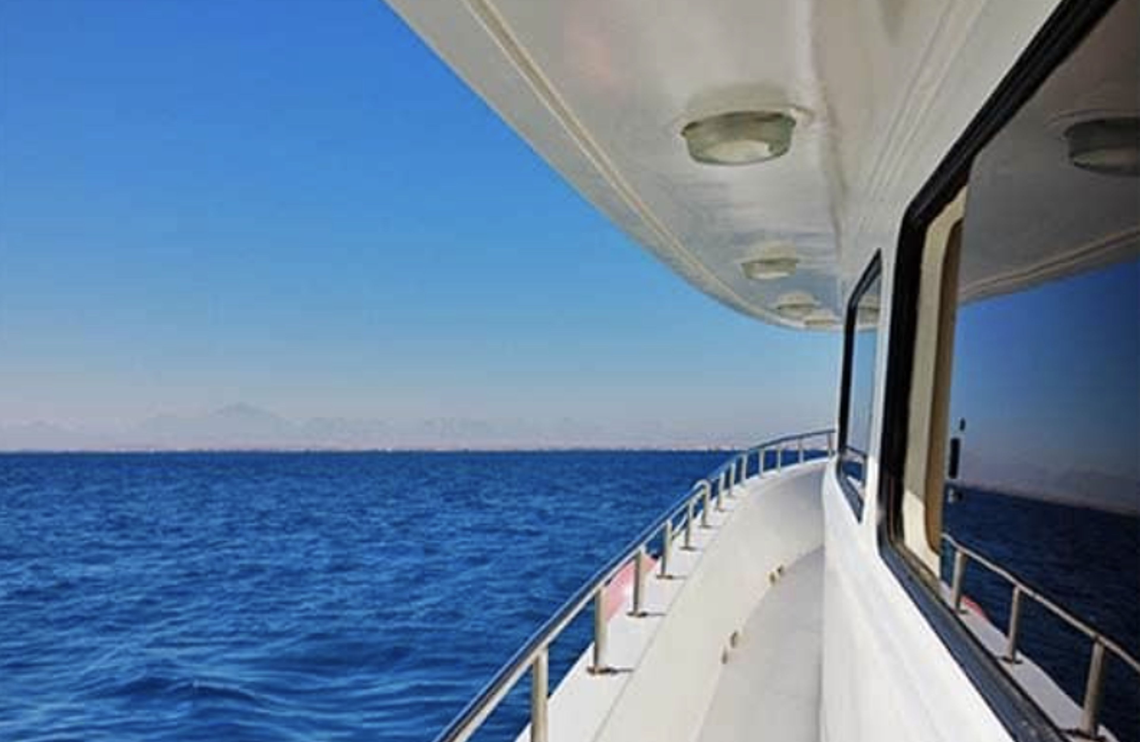 Cover photo of San Diego Boat Tours