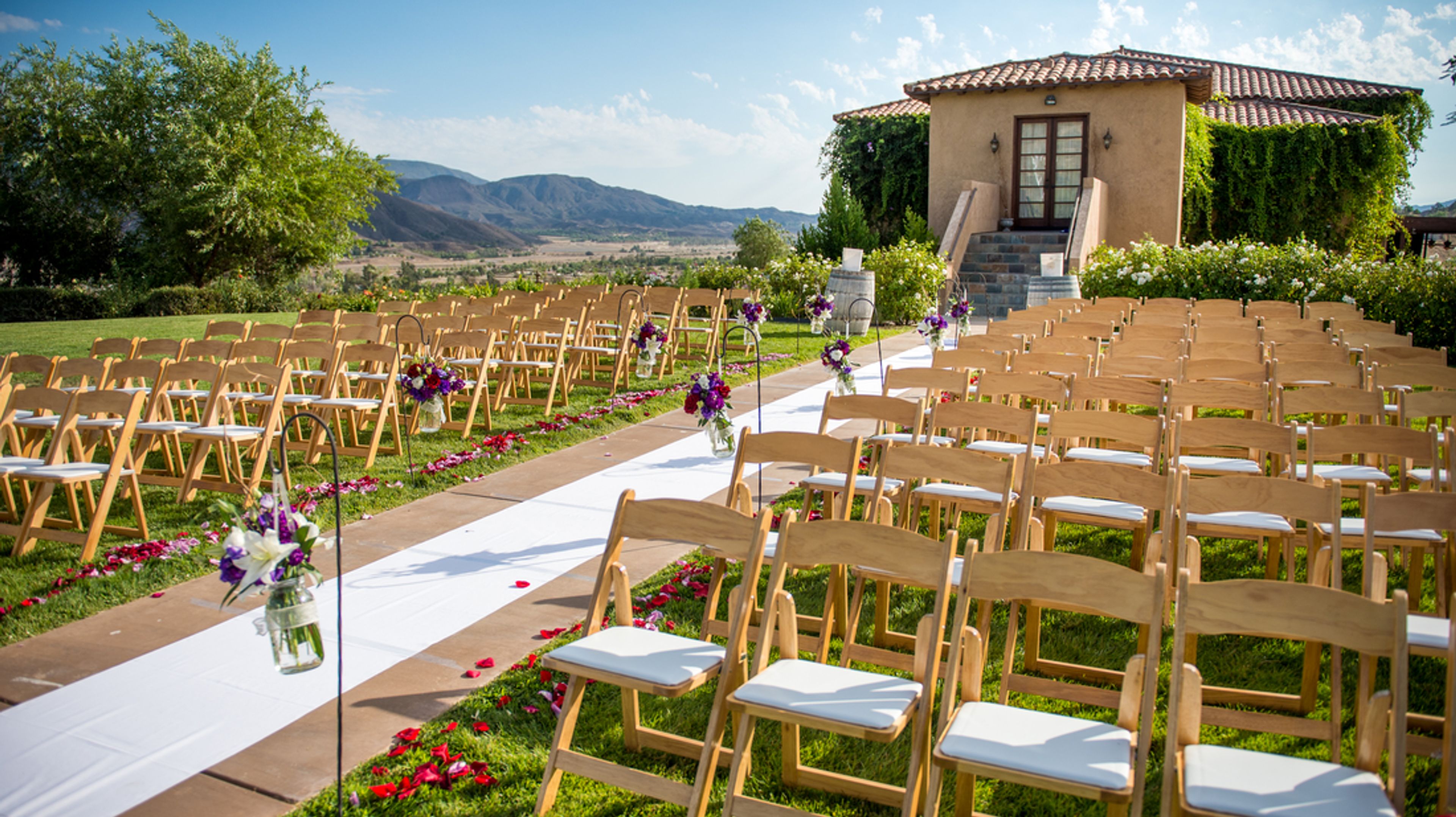 Cover photo of Unity & Vine