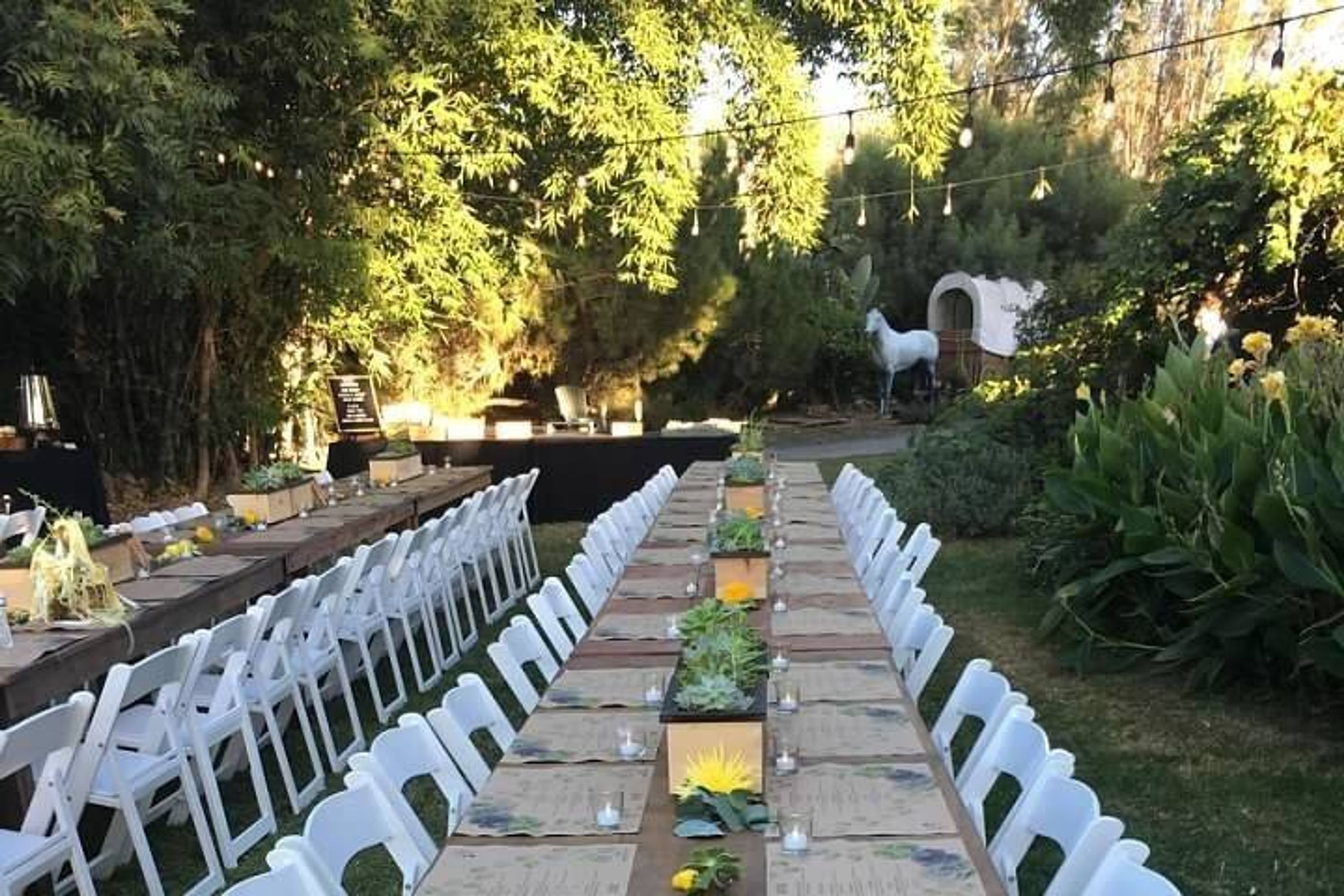 Cover photo of Wind N Sea Events