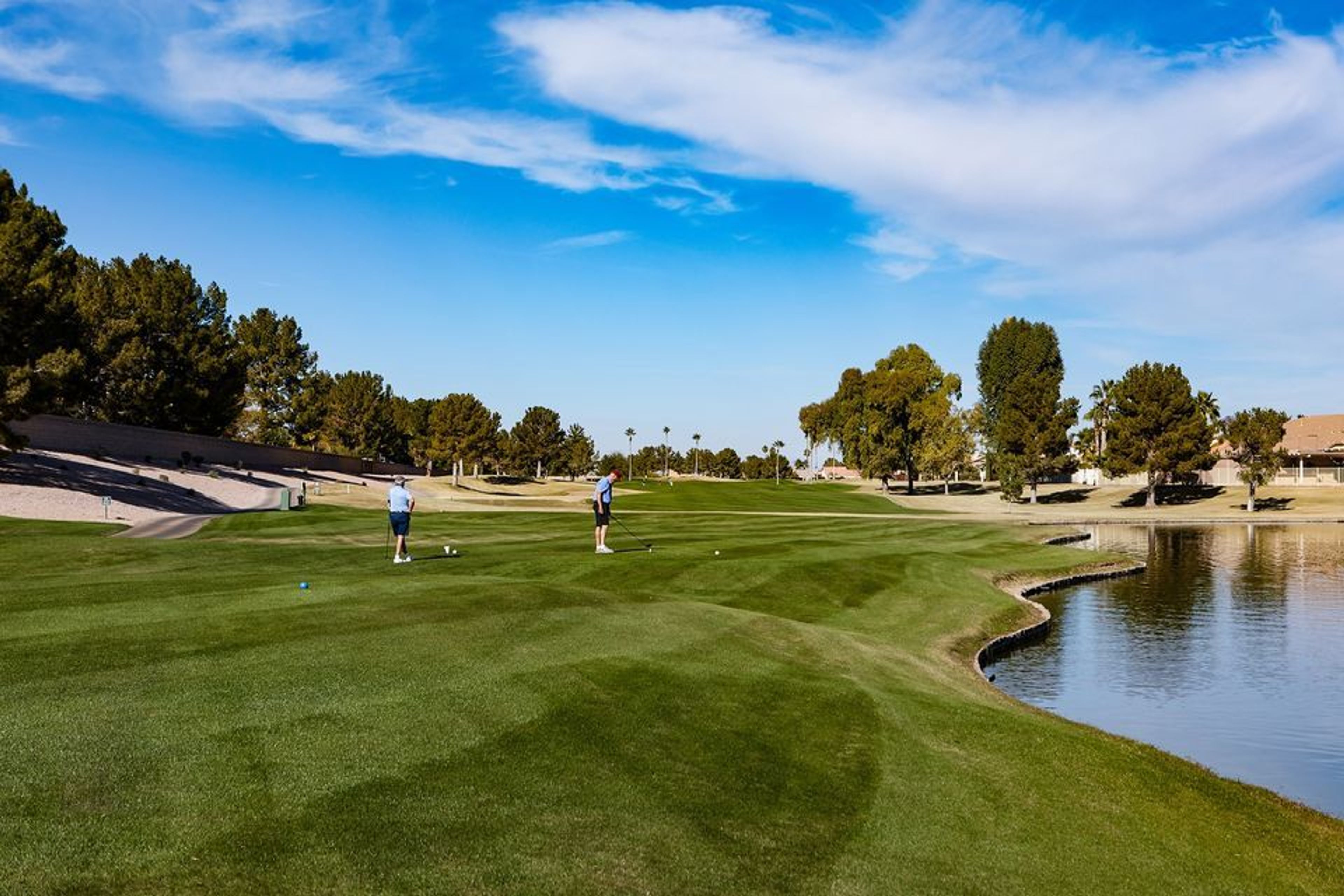 Cover photo of IronOaks at Sun Lakes