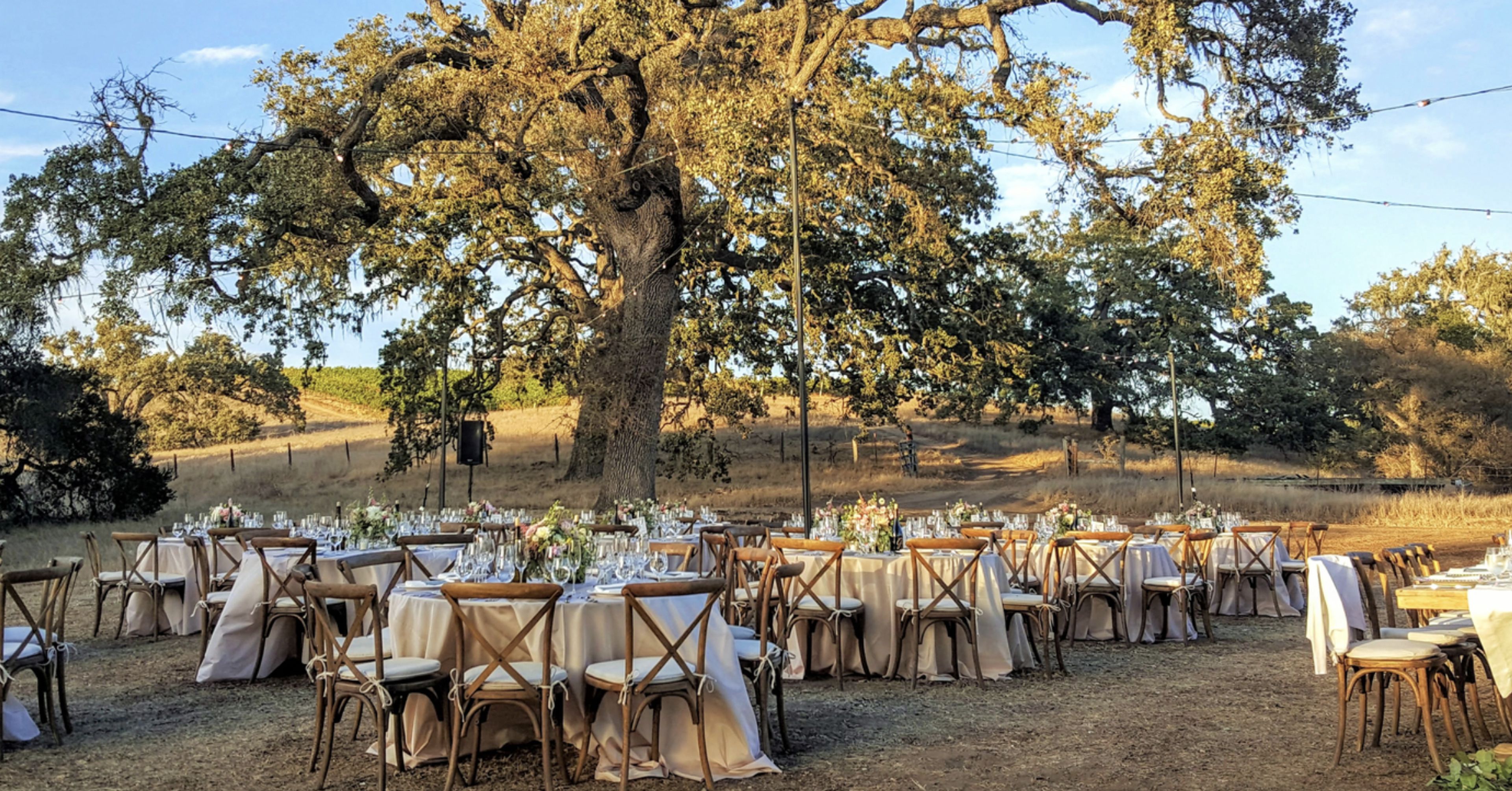 Cover photo of Amber Alyse Events