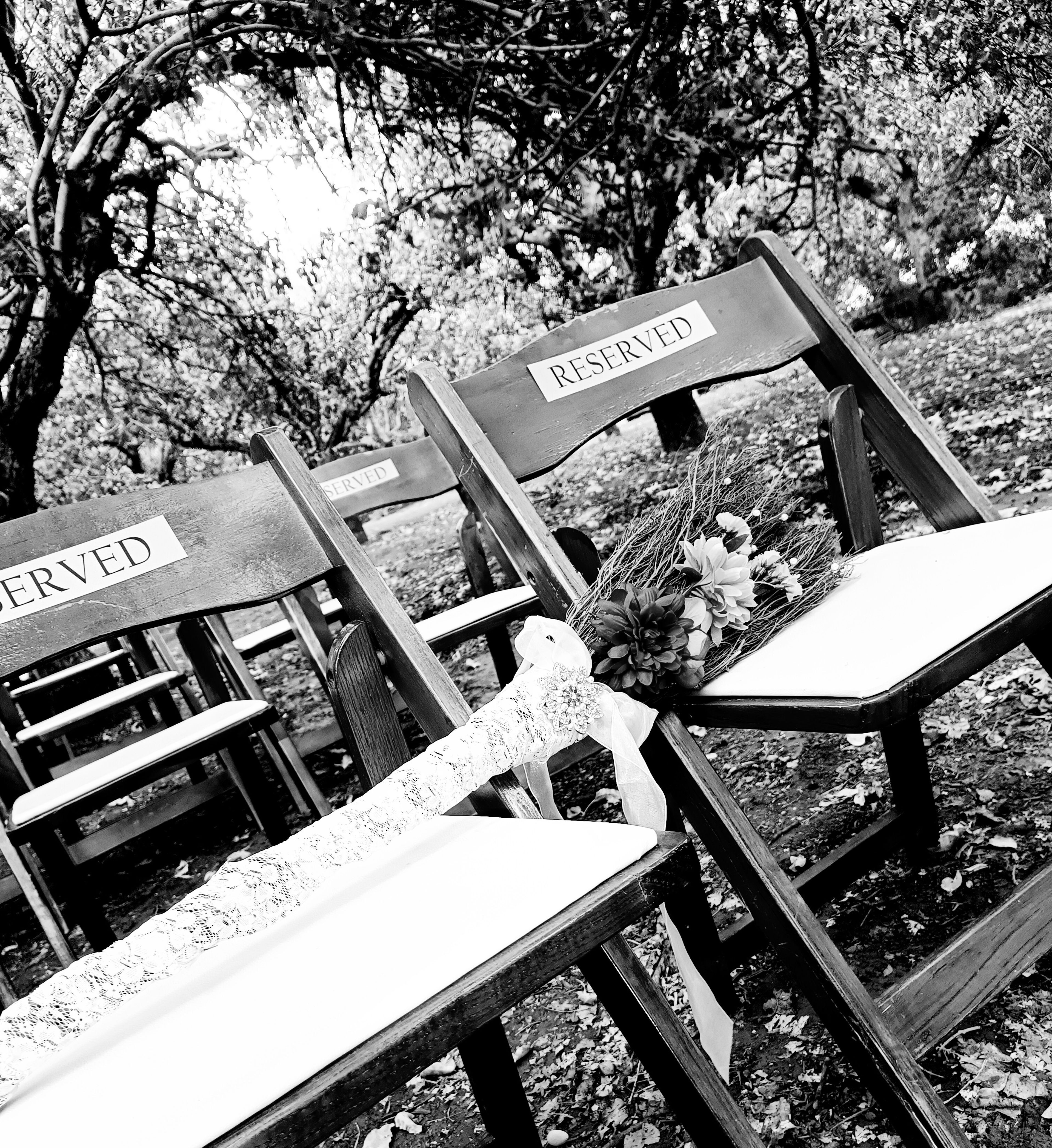 Cover photo of Weddings & Events By Trina