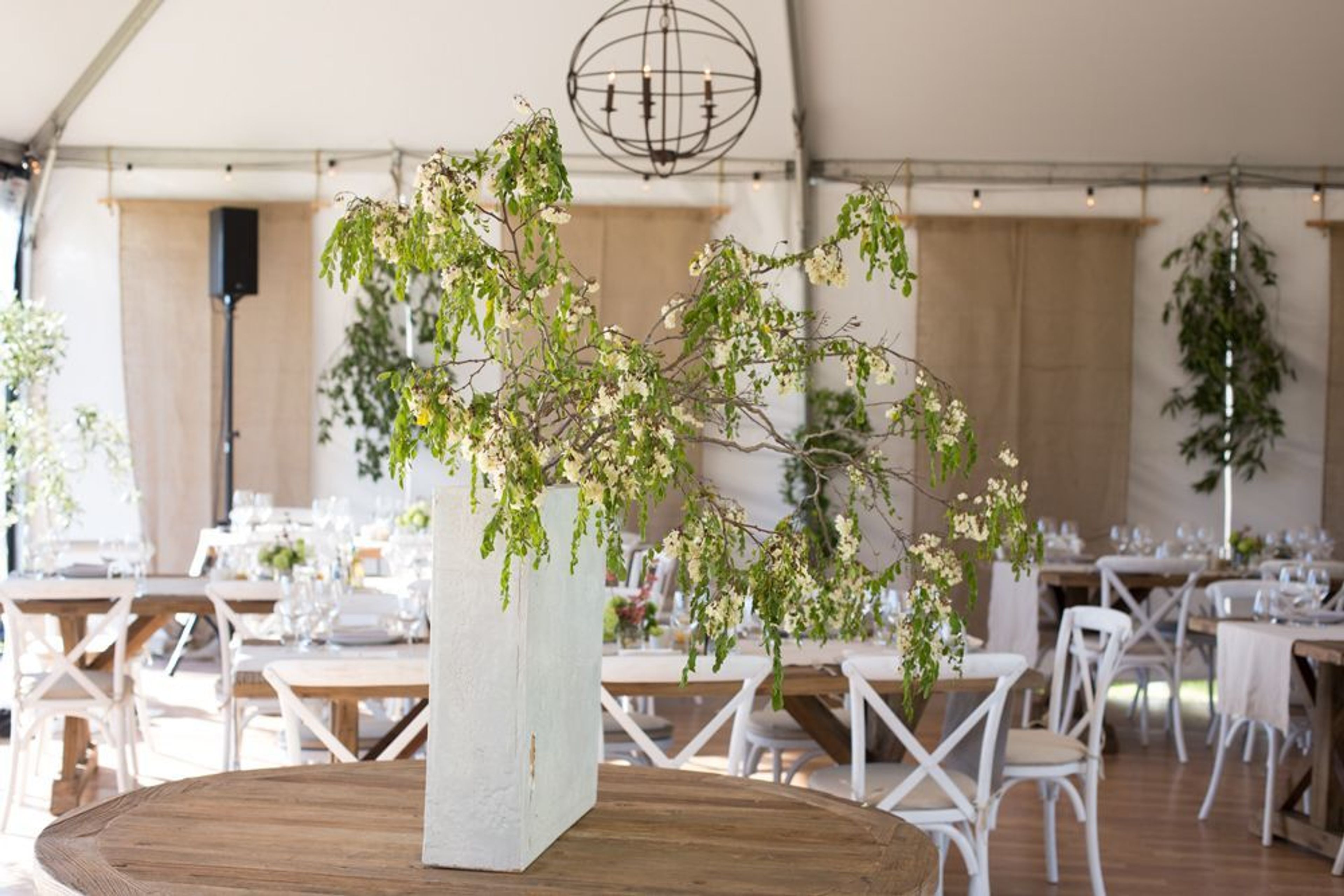 Cover photo of Caitlin Gutierrez Events