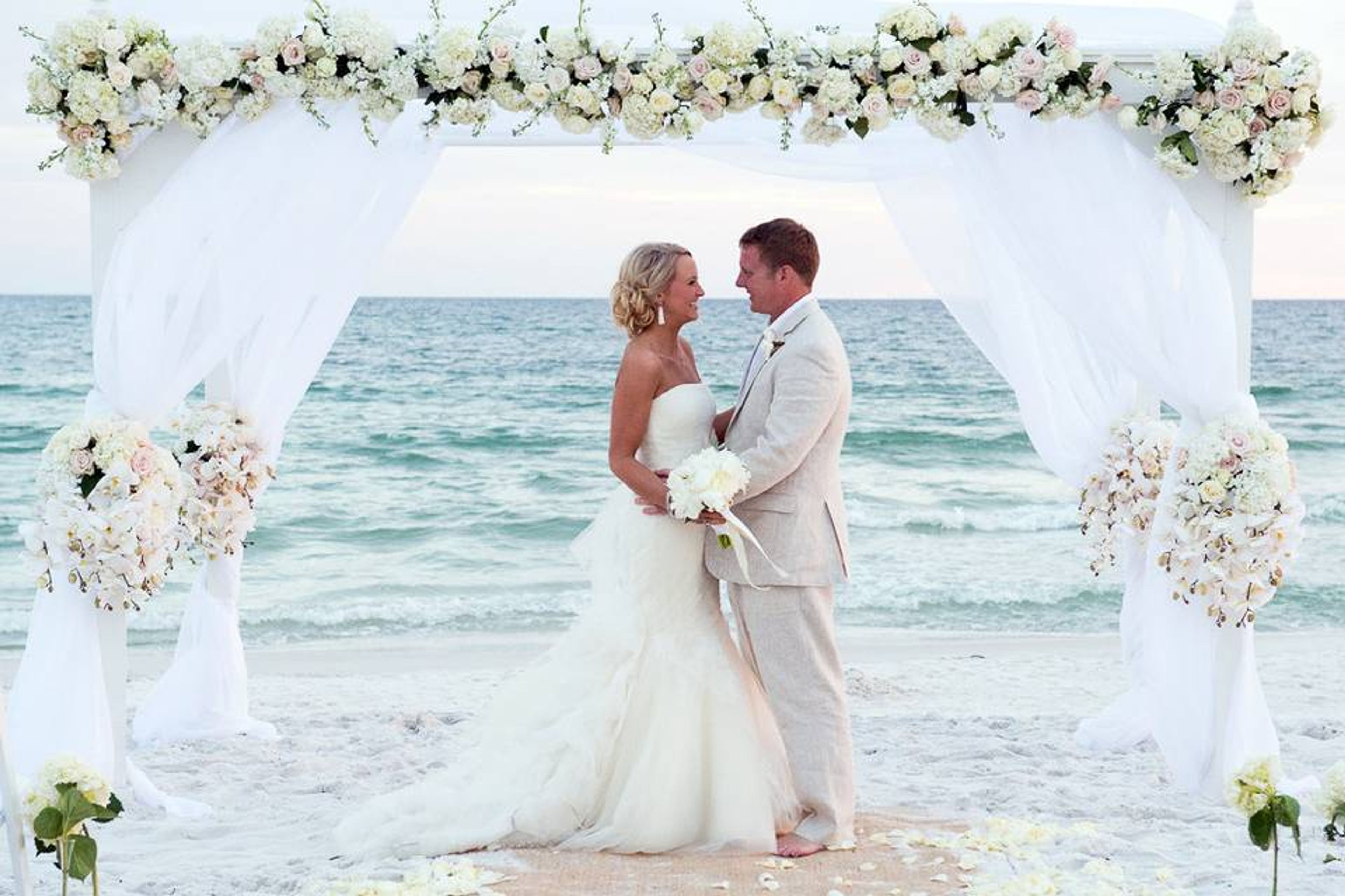 Cover photo of Alli Sims Weddings & Events