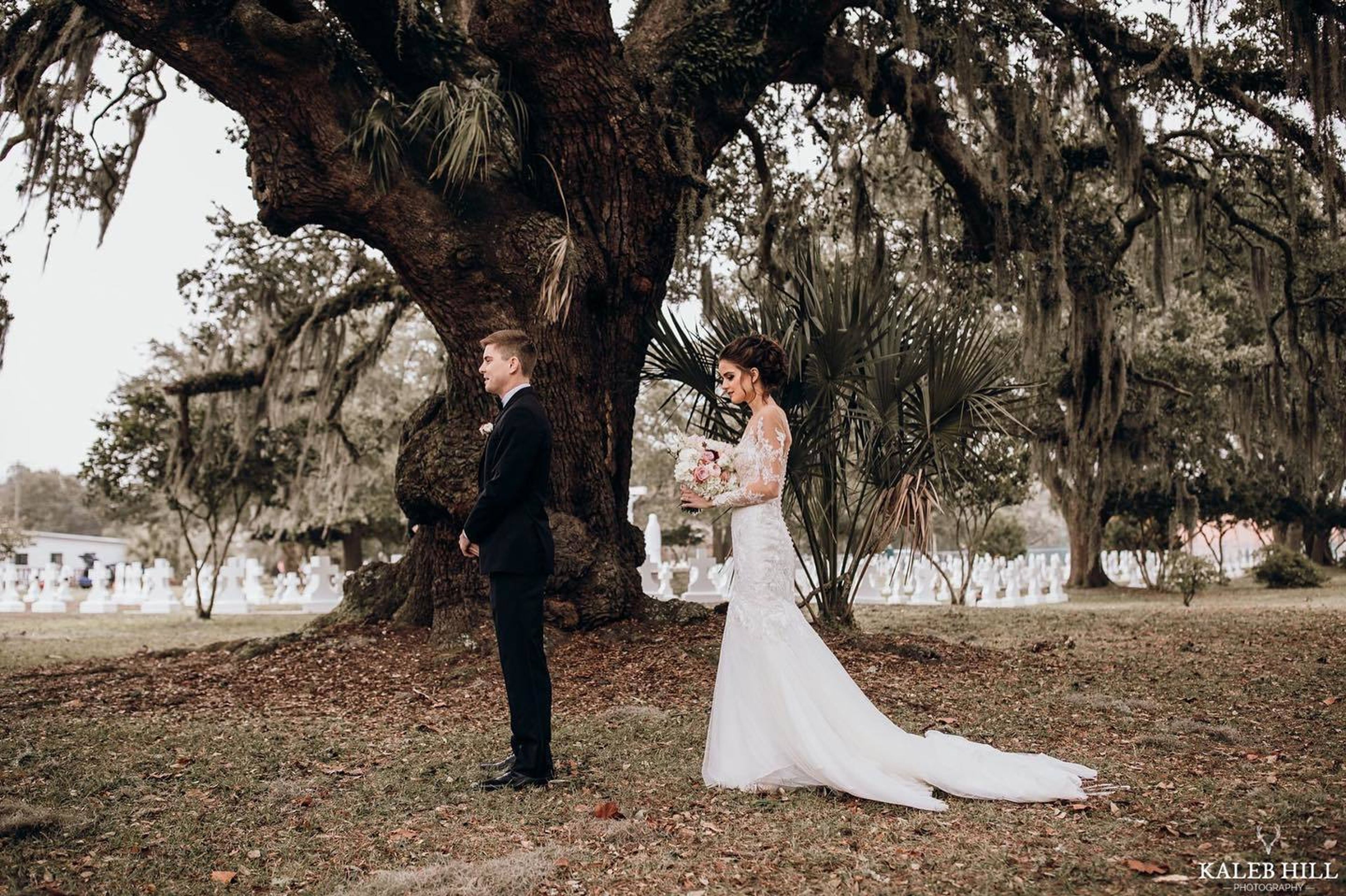 Cover photo of Revel & Cheer, LLC