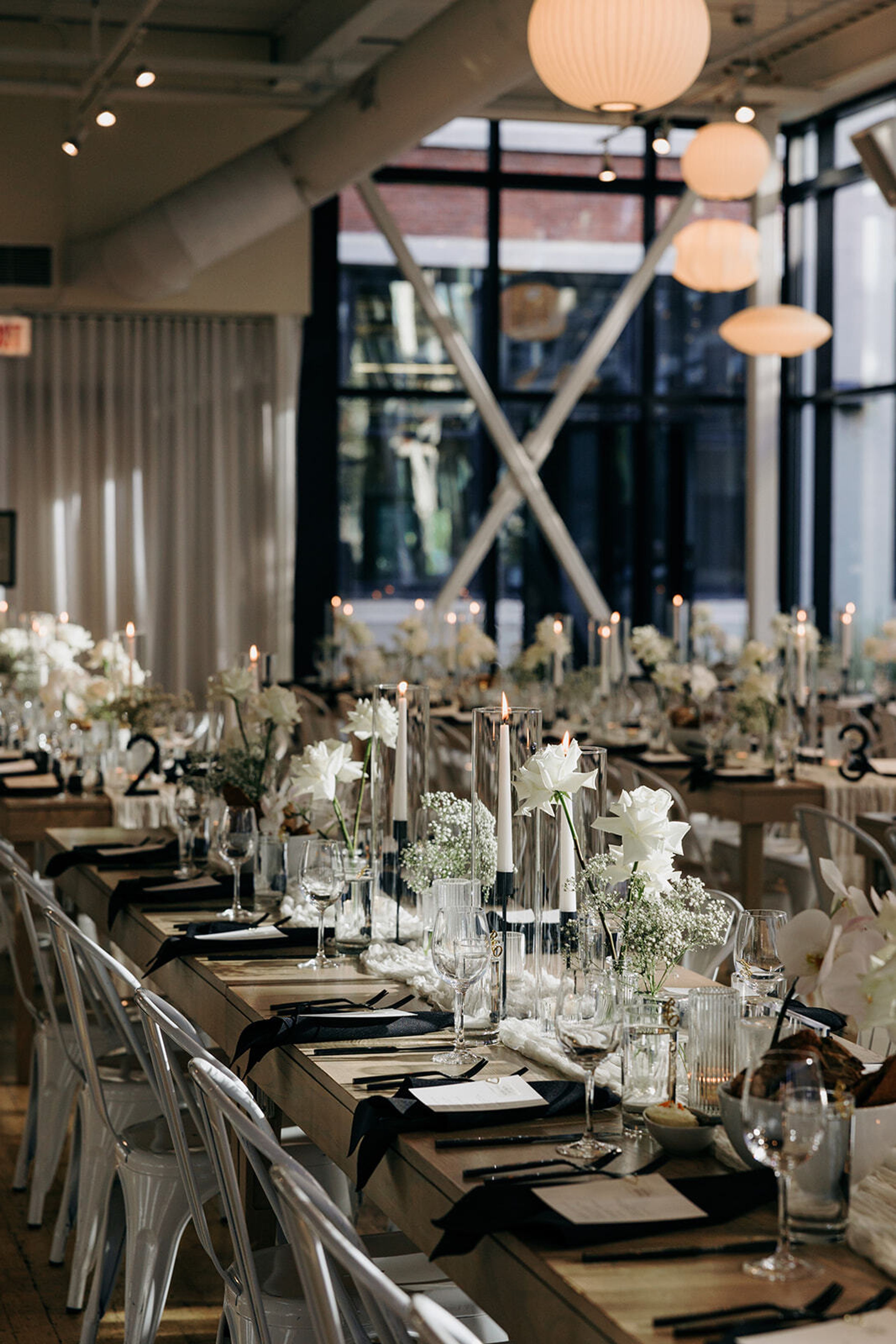 Cover photo of Ordinary Seed Inc.