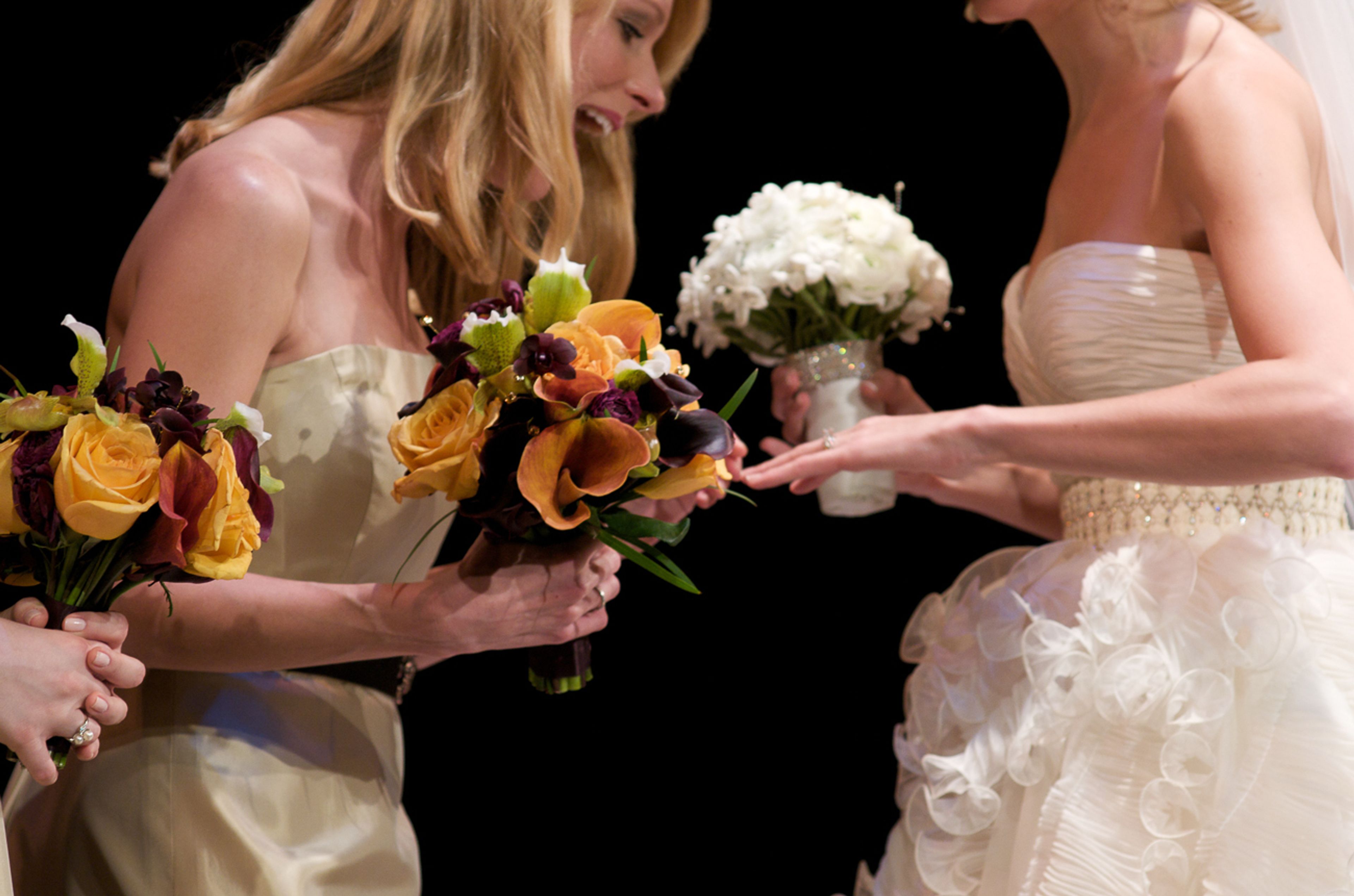 Cover photo of Melarosa