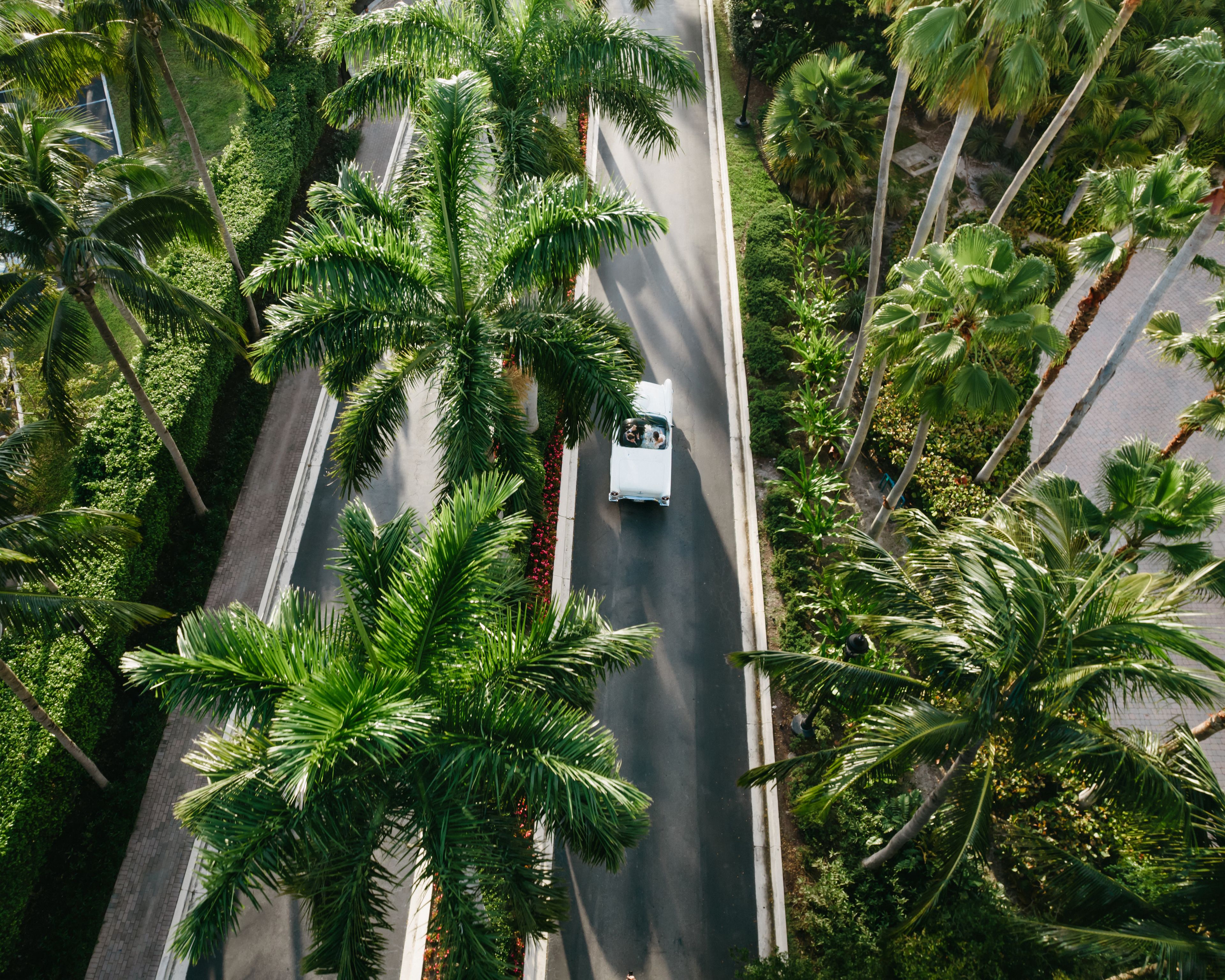 Cover photo of Adriana Rivera Photography