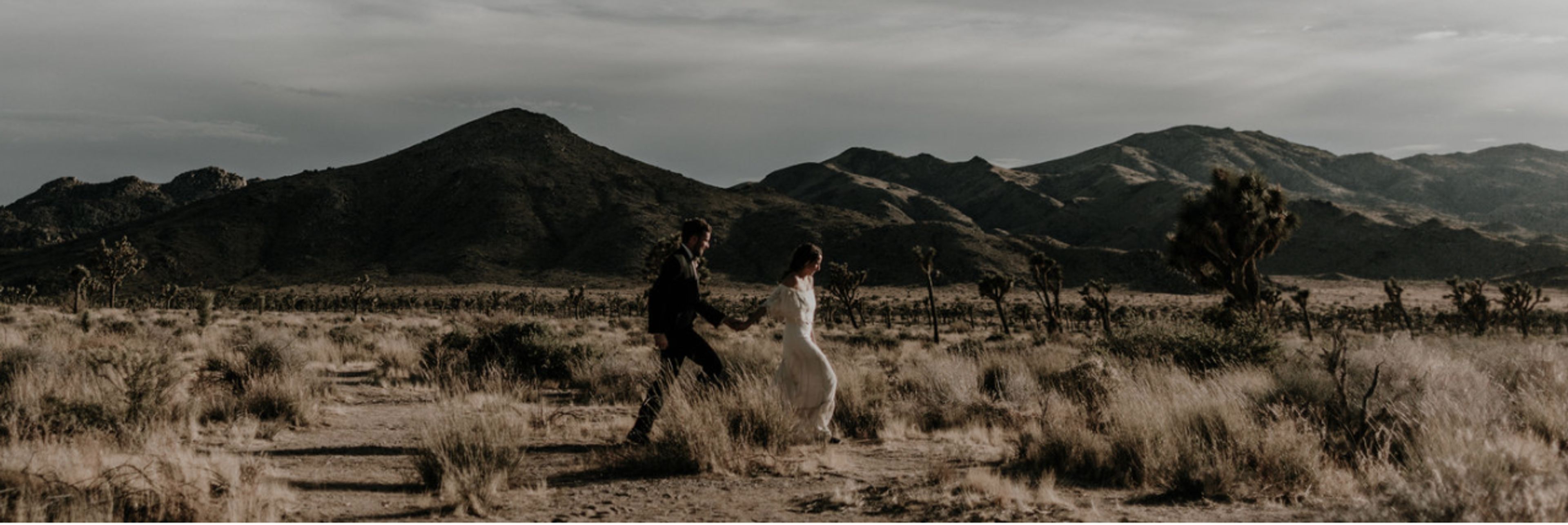 Cover photo of The Brothers Martens