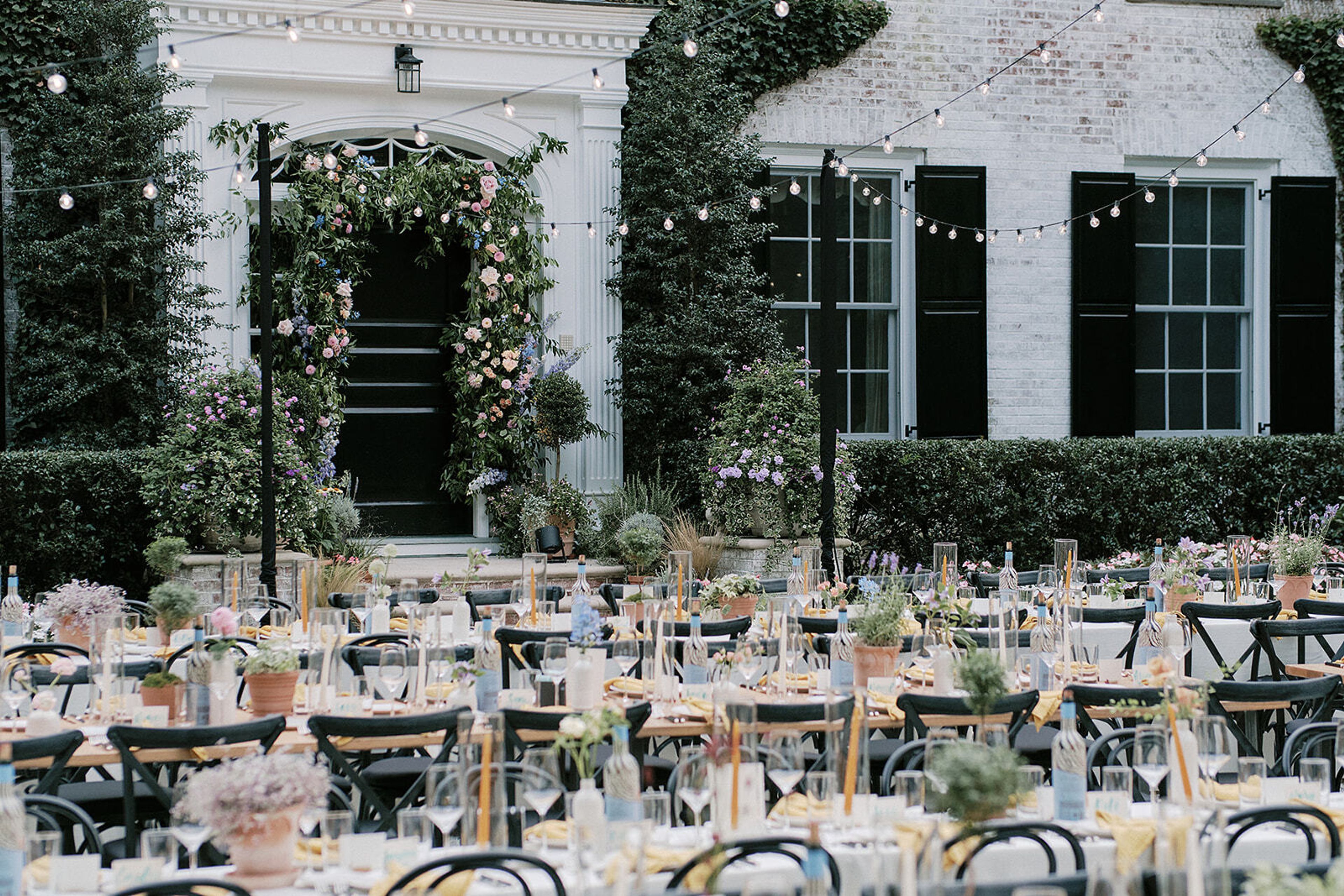 Cover photo of Laurel & Rose