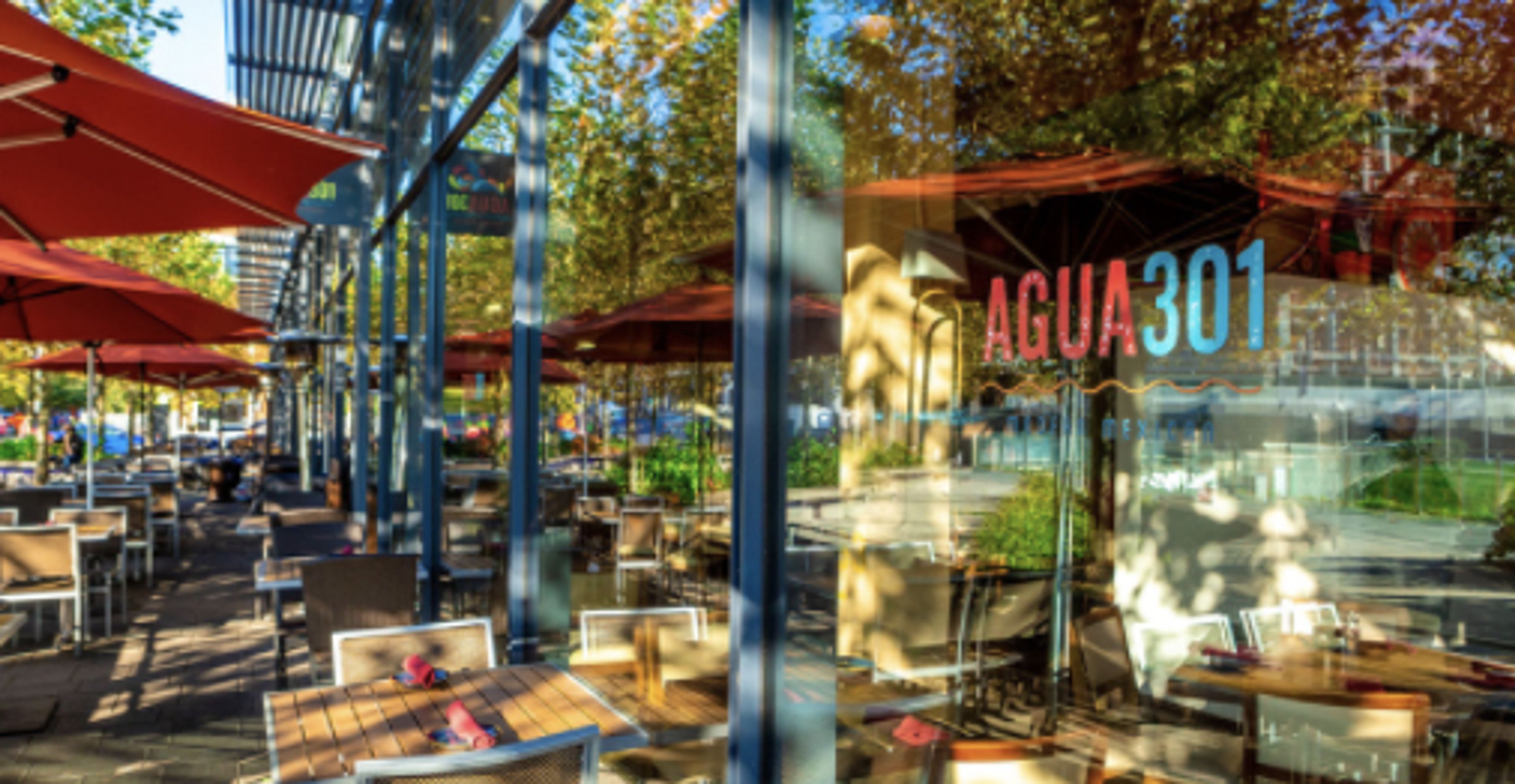 Cover photo of Agua 301