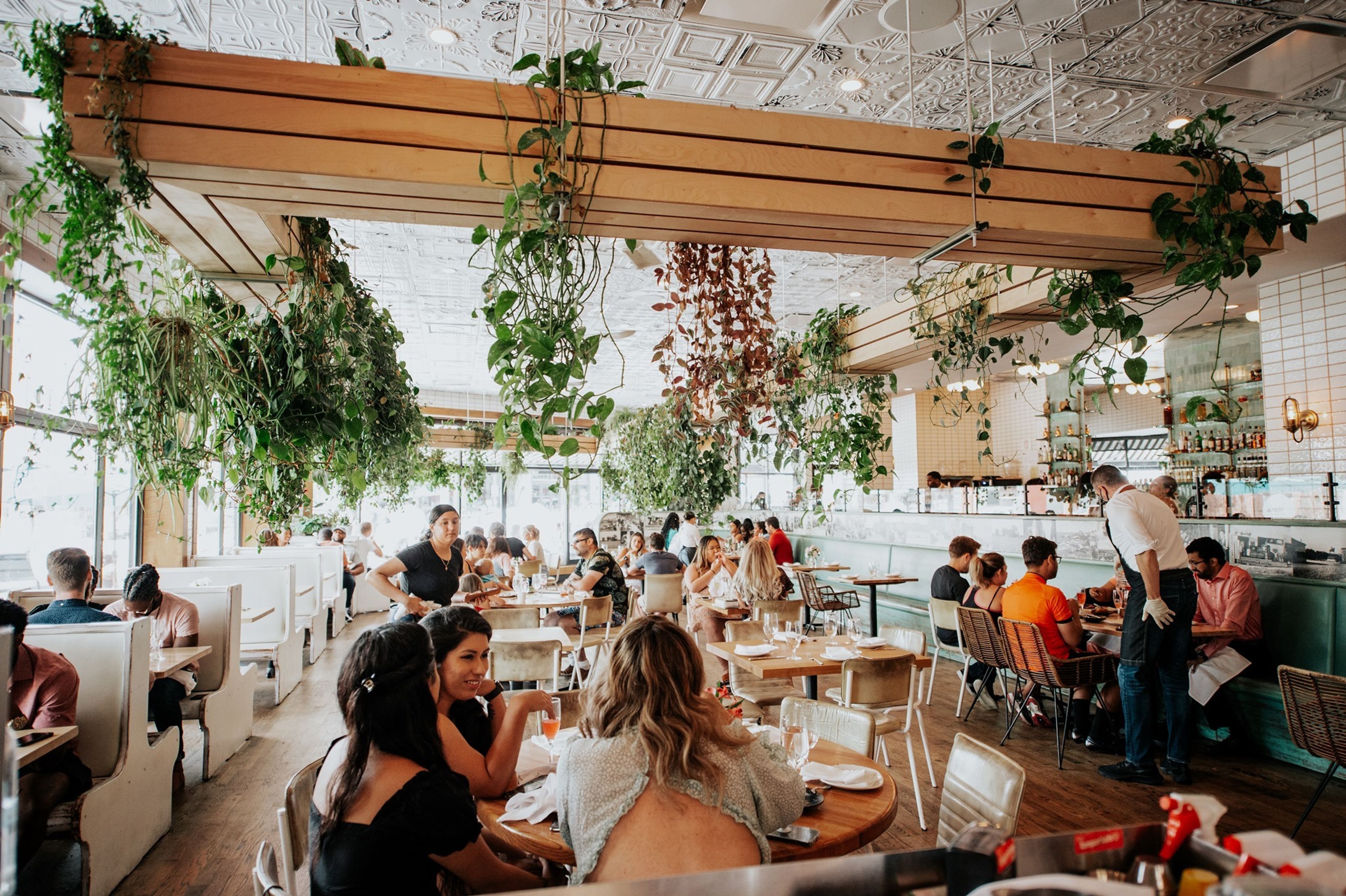 Cover photo of Ambar - Capitol Hill