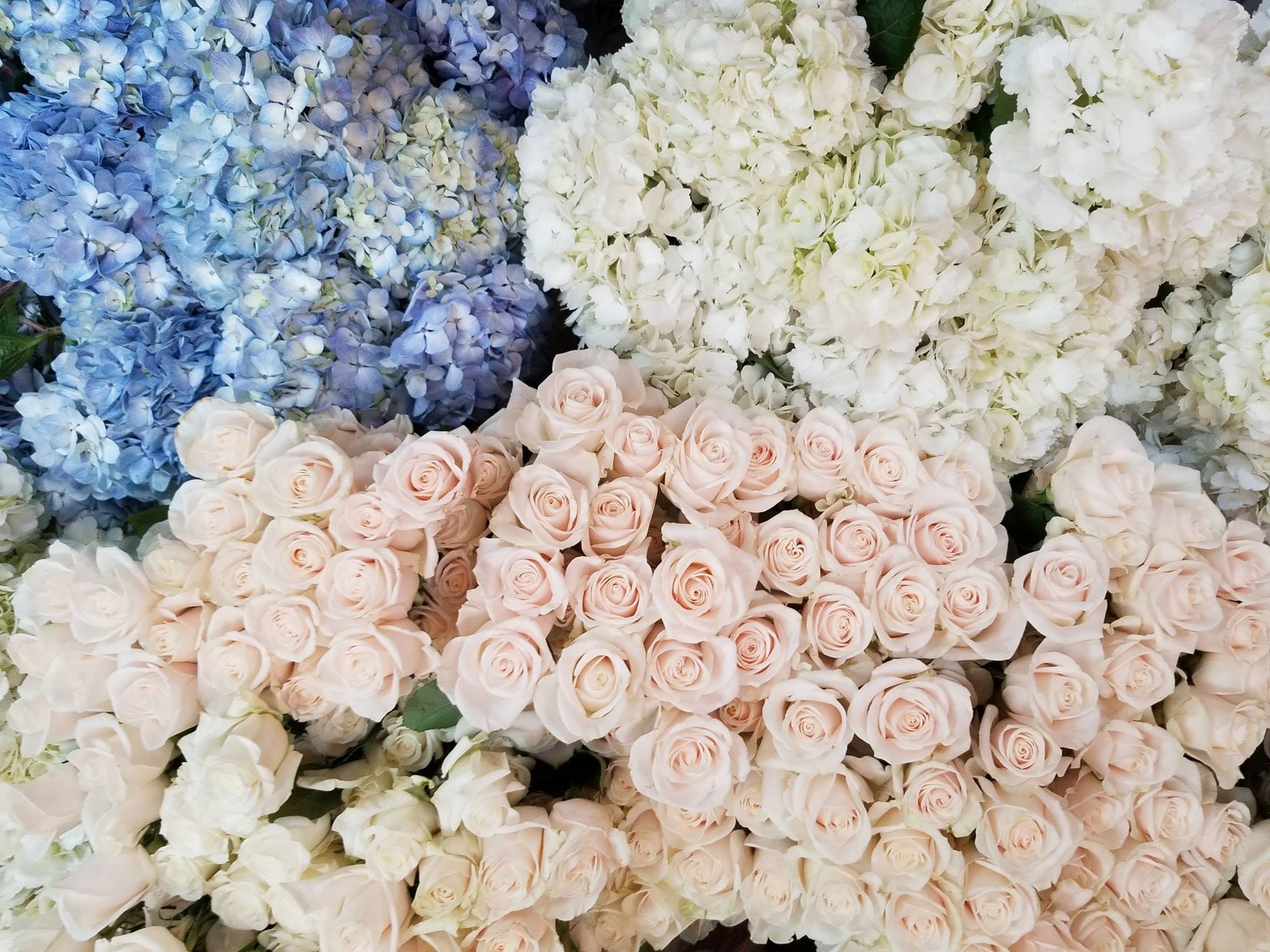 Cover photo of A Marc in Design