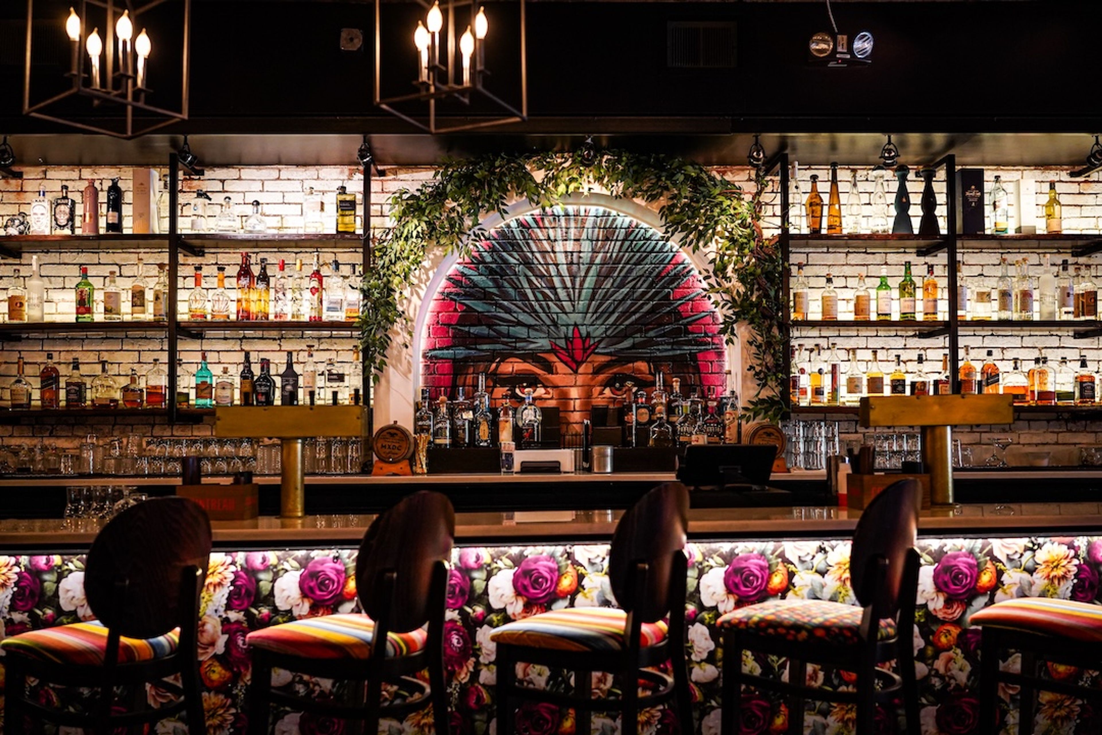 Cover photo of MXDC Cocina Mexicana by Todd English