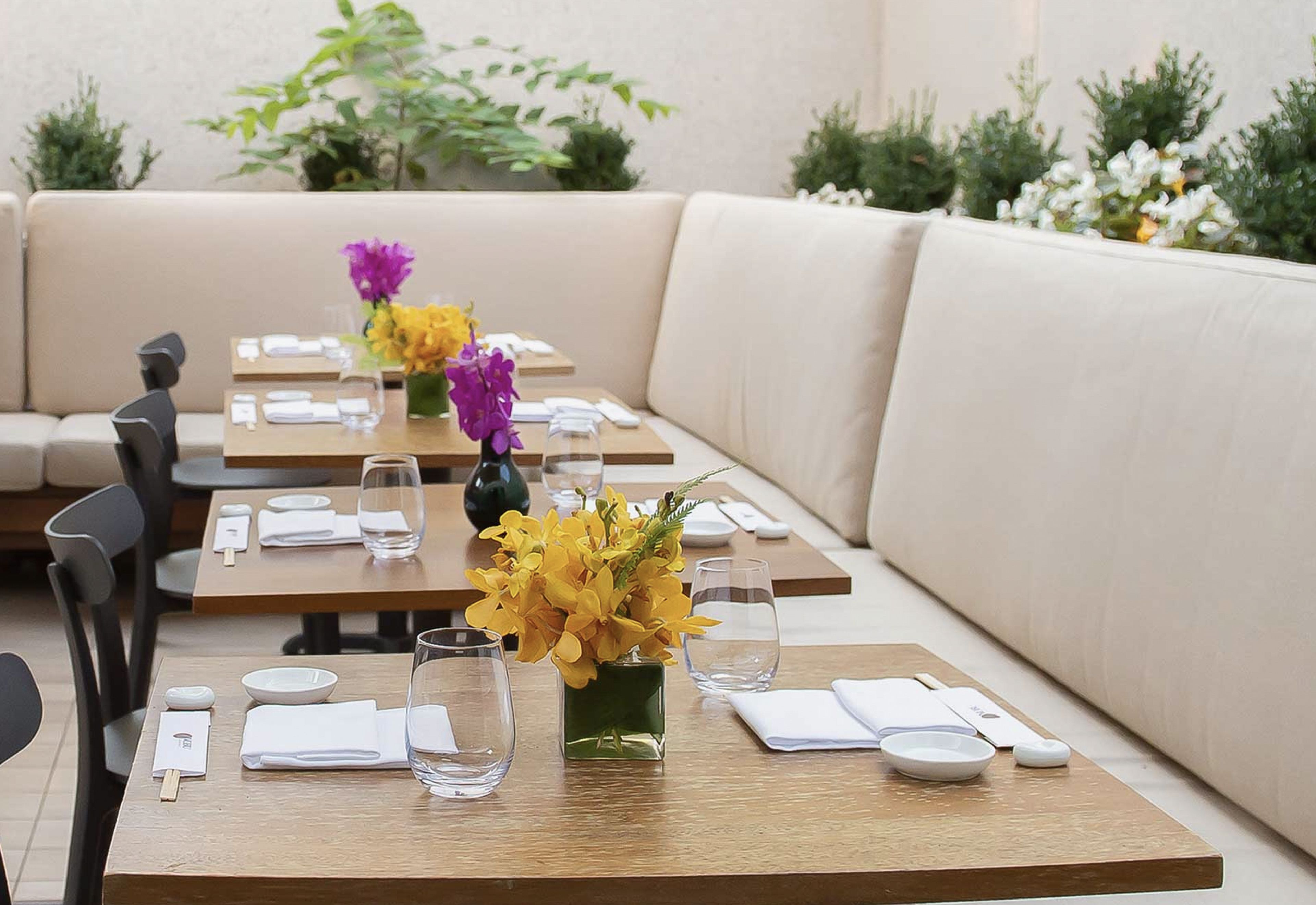 Cover photo of Nobu Washington D.C.