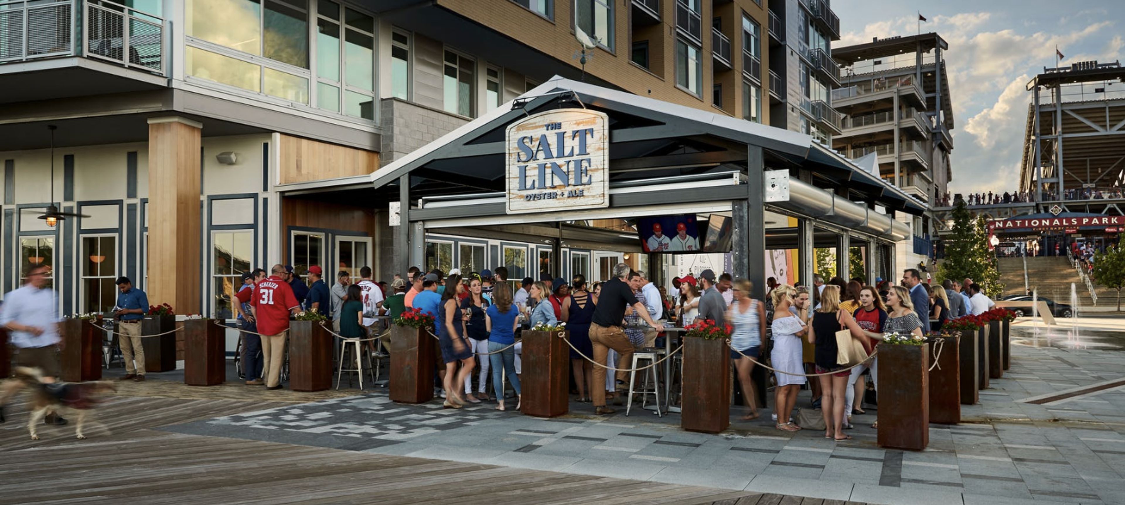 Cover photo of The Salt Line